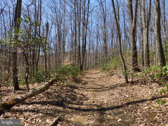 Gorgeous Wooded Lots, Extremely Private, yet minutes to Frederick & Major Commuter Routes.  Not you Typical Wooded Lot*  Situated down a Long Private Paved Lane, Perfect for your Dream Home* Well is in, conventional perc has been completed.  This lot is Ready to Build!  Bring your vision & Blueprints.  We also have  builder available for consultation*  Call Ted for further intel*  2 lots available
