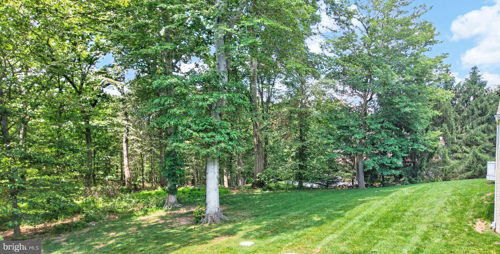 SHENANDOAH - Residential