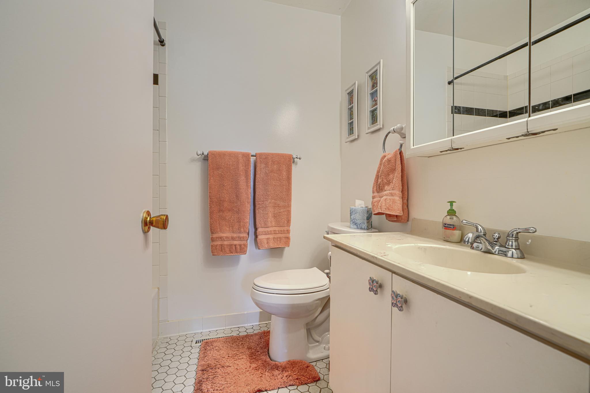 MAYS CHAPEL VILLAGE - Residential