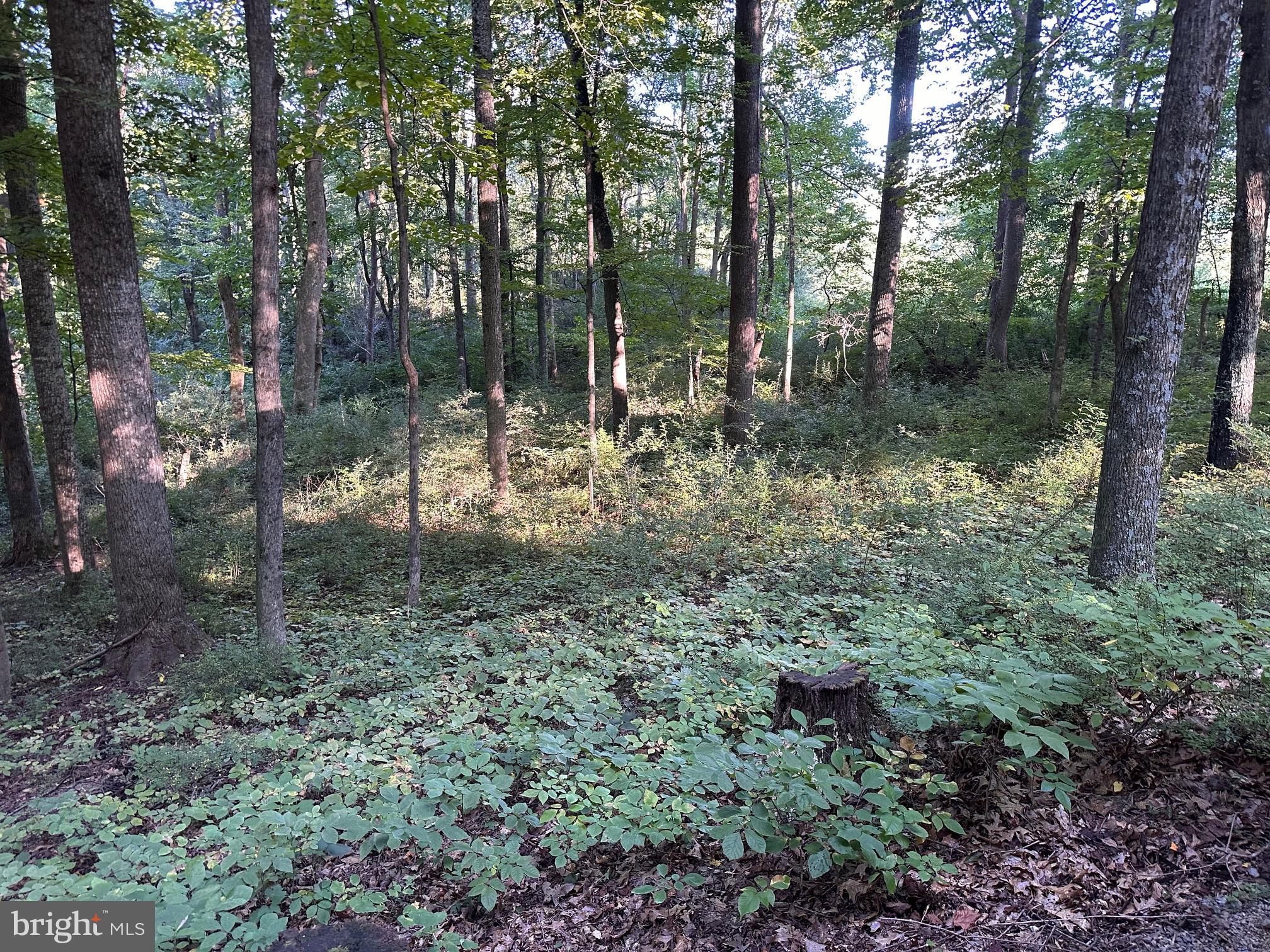 Very nice building lot at Coolfont Mountainside.  Public water, public septic lines are already established. Community amenities include a pool, hot tub, tennis courts, playground, hiking trails and much more.  Adjoins 112 Mountainside Rd which is also for sale. There are many paved roads and it is a great community in  which to relax and take in the peace and quiet.  It is only 10 minutes or so to the Cacapon State Park and the same amount of time into Berkeley Springs.