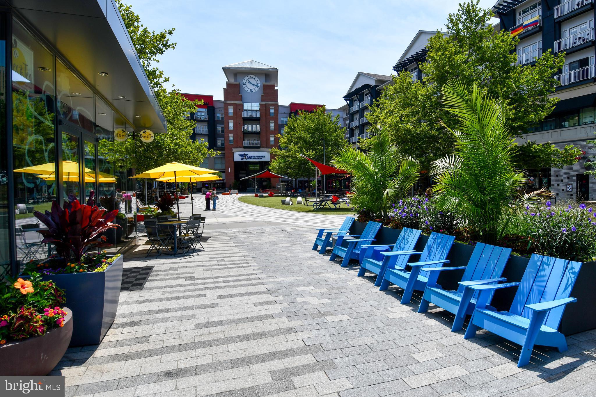 CAVENDISH - Residential