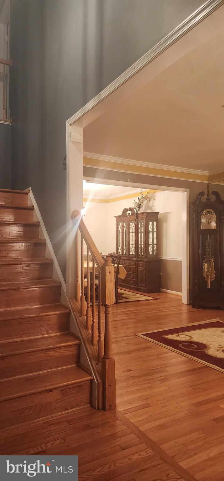 LARGO WOODS - Residential