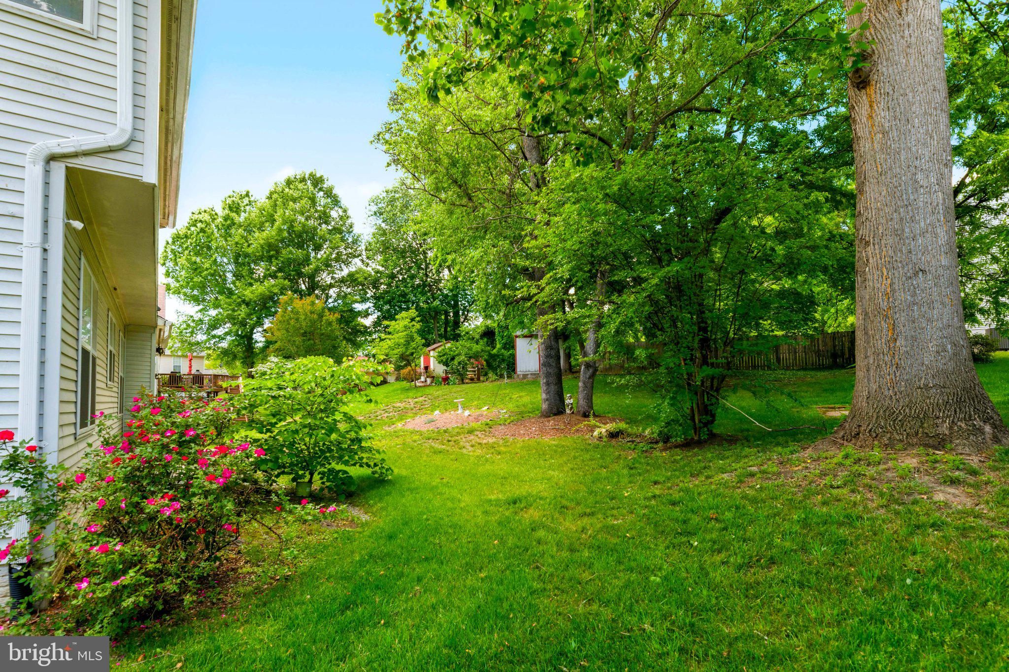 LARGO WOODS - Residential