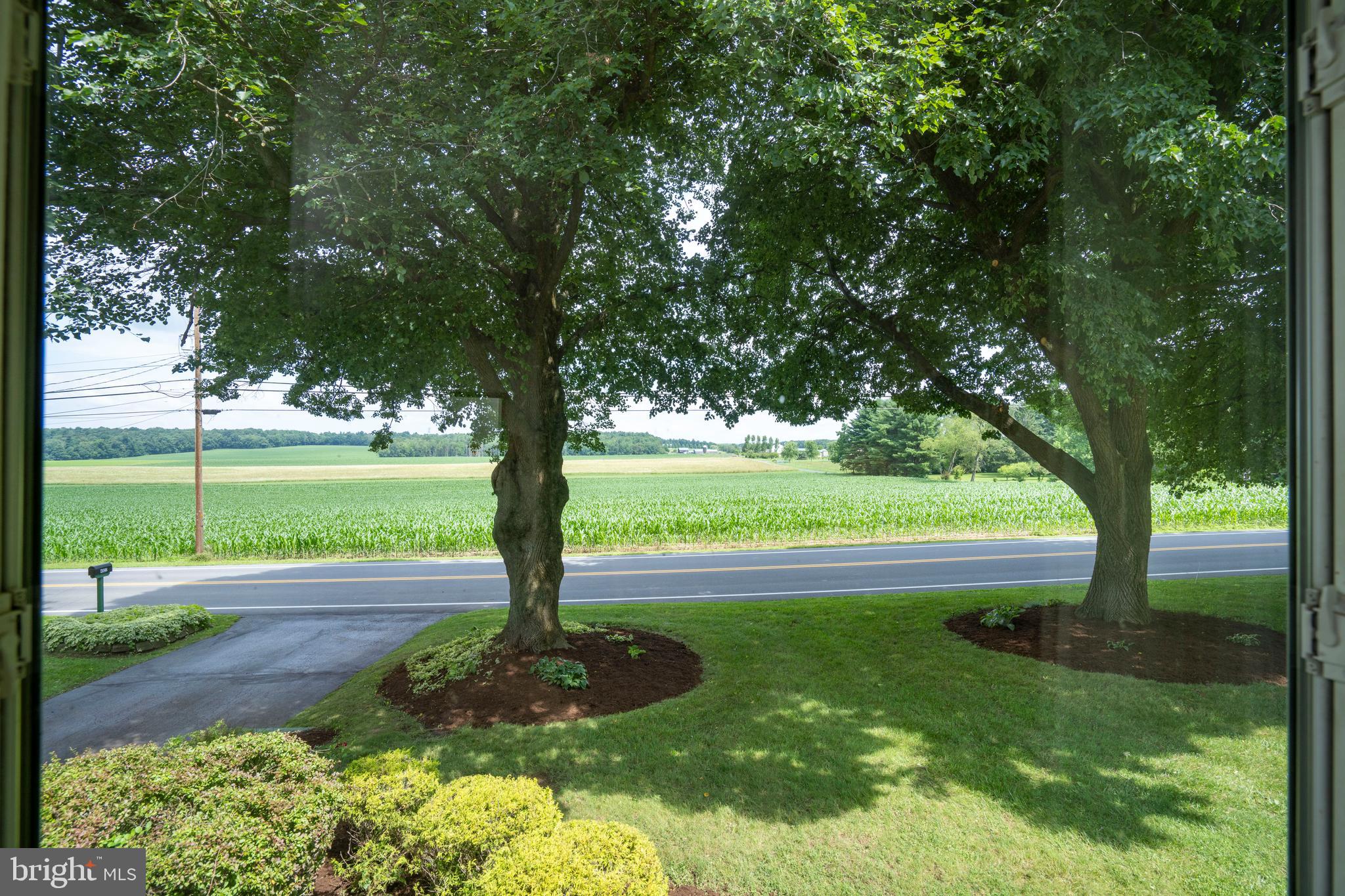 THE MEADOWS - Residential