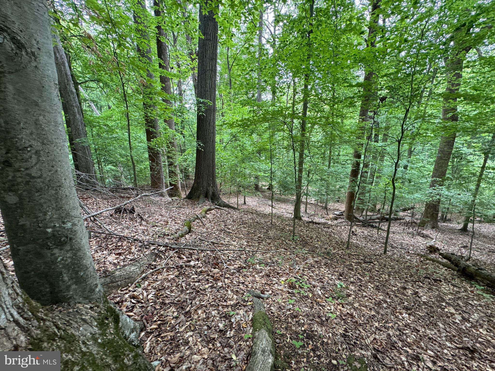 MOYAONE RESERVE - Land