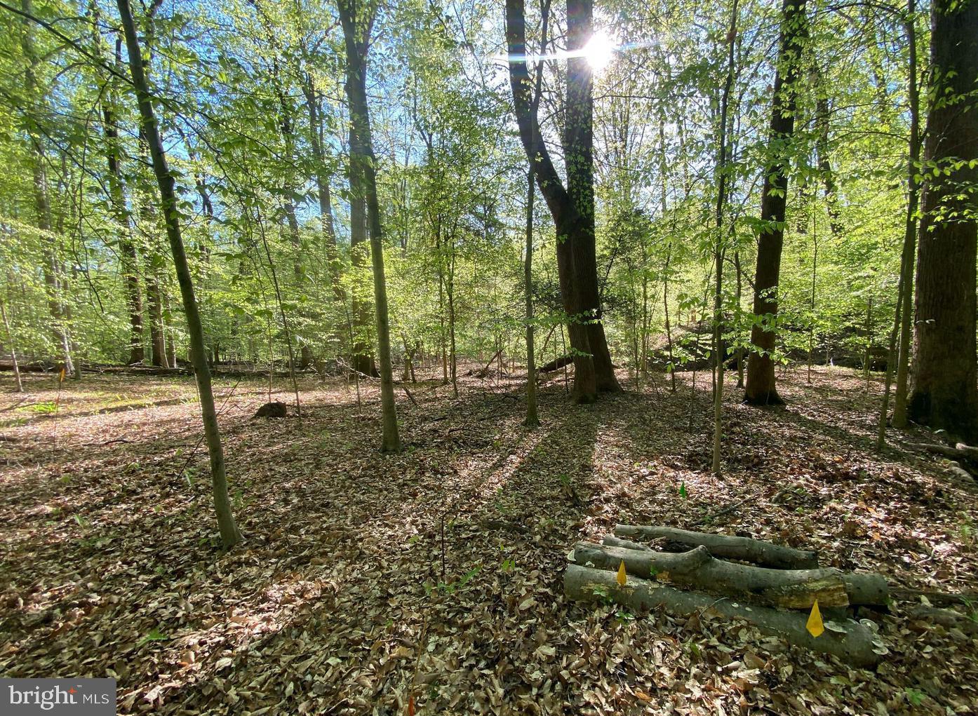 This beautiful property is 5.07 acres, wooded with mature trees, and located in the desirable Moyaone
Reserve community. Near Piscataway Park, a federal park with natural attractions such as woodlands,
wetlands, a fishing pier, two boardwalks, nature trails, and scenic views of the Potomac River. Mayaone
Reserve has a Scenic Easement Deed Restriction to preserve the natural views. The community has a
volunteer homeowners association with a suggested annual amount of $900 that includes a community pool
and courts. The property is in close access to Washington DC and National Harbor. The lot borders a stream
and has flatland and hills. Perc recently completed, no well. Access is gained via an easement through Lot I-W. Access is gained off of Hidden
Valley Lane down the driveway to 2720, go to the end and you will see the sign. The access leads from the sign down to the lot.