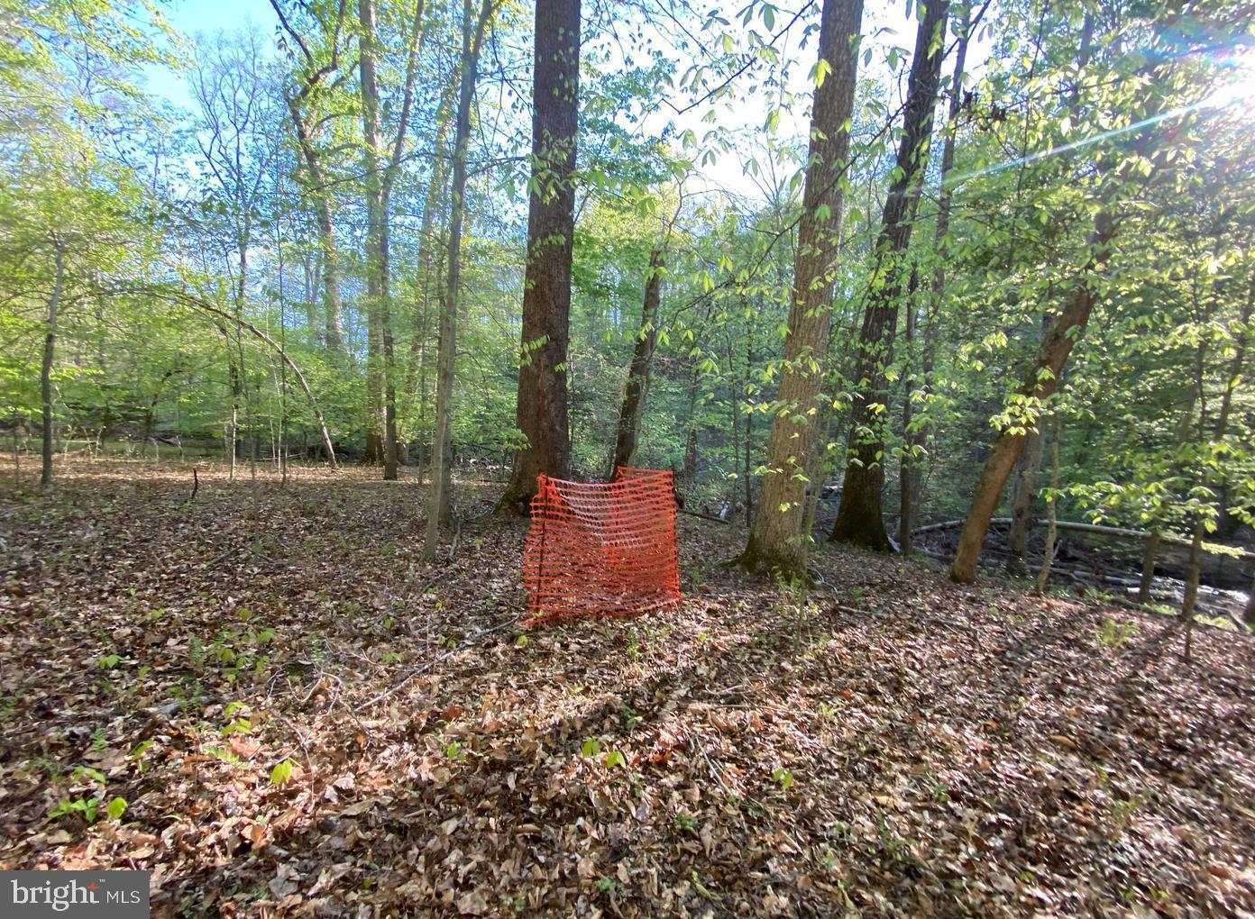 MOYAONE RESERVE - Land