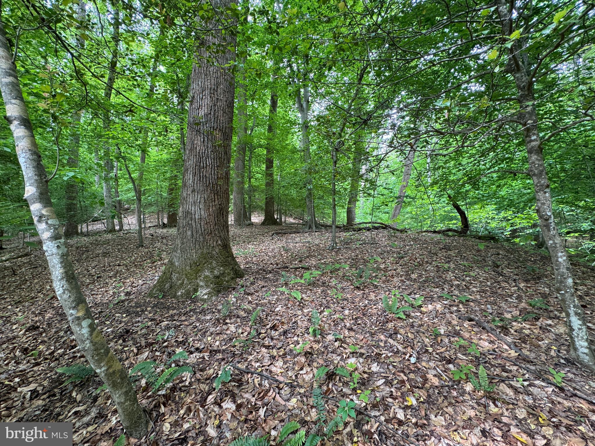 MOYAONE RESERVE - Land