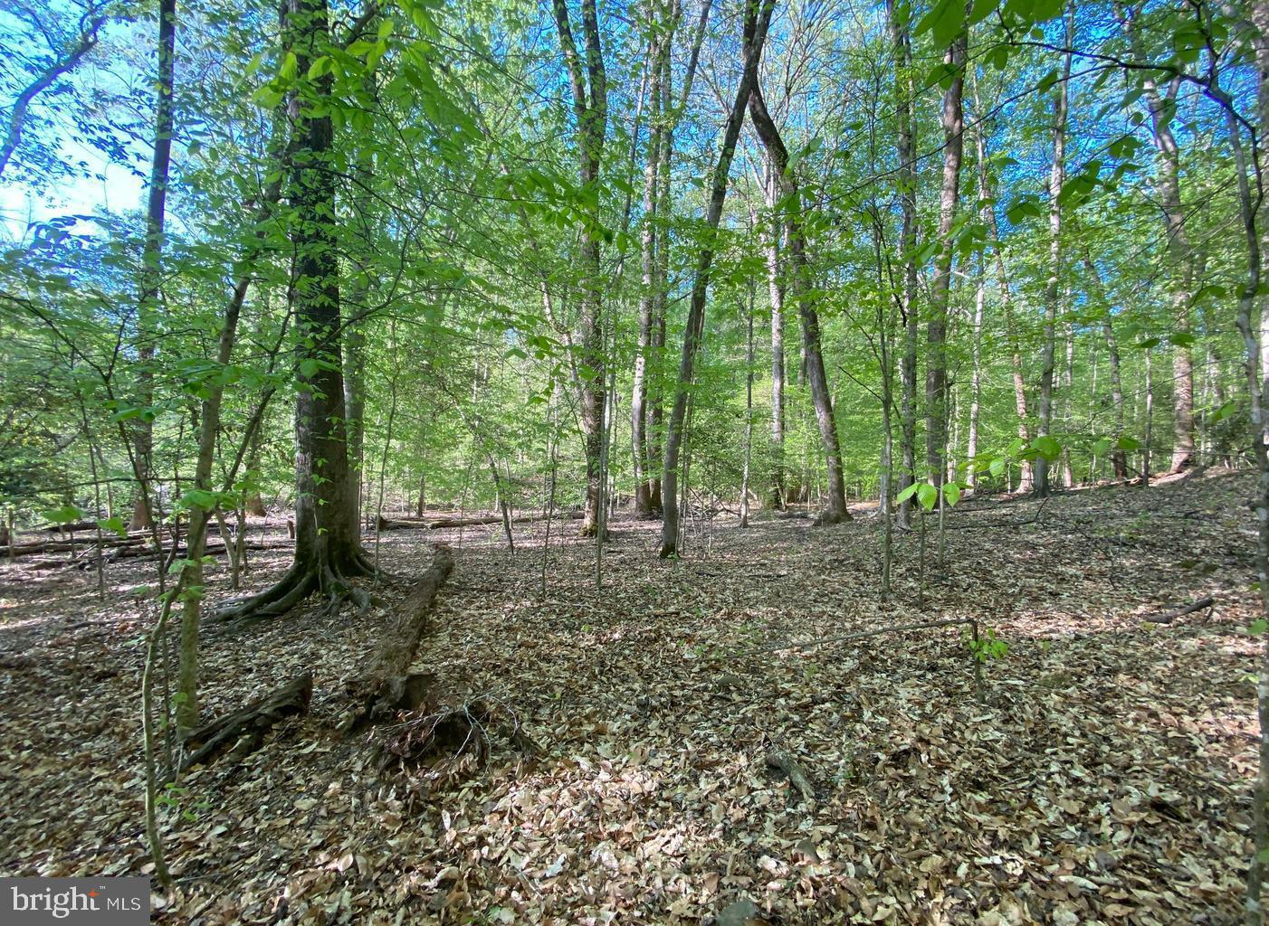 MOYAONE RESERVE - Land