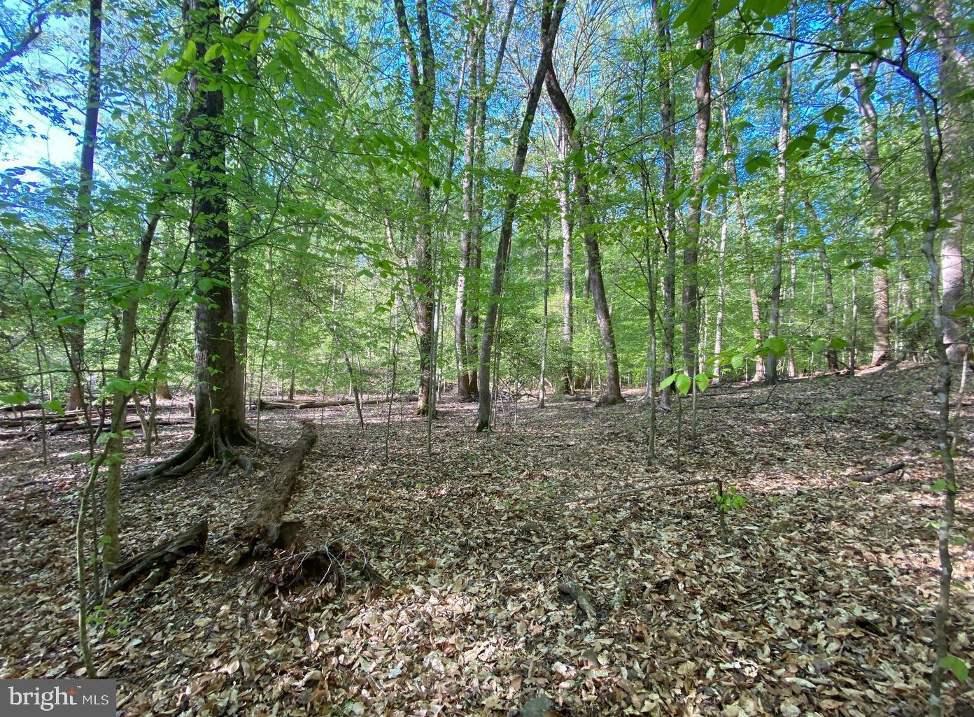 MOYAONE RESERVE - Land
