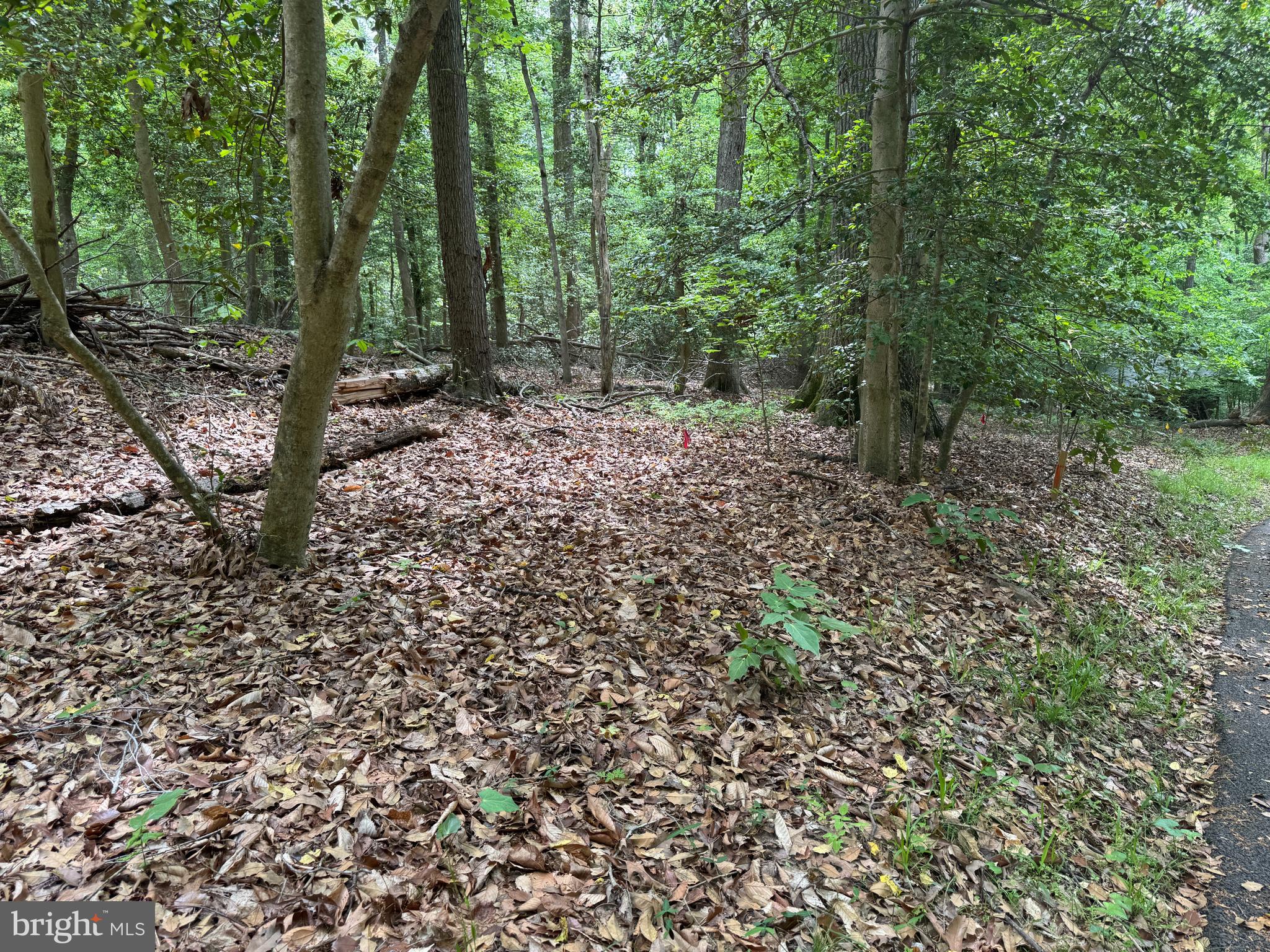 MOYAONE RESERVE - Land