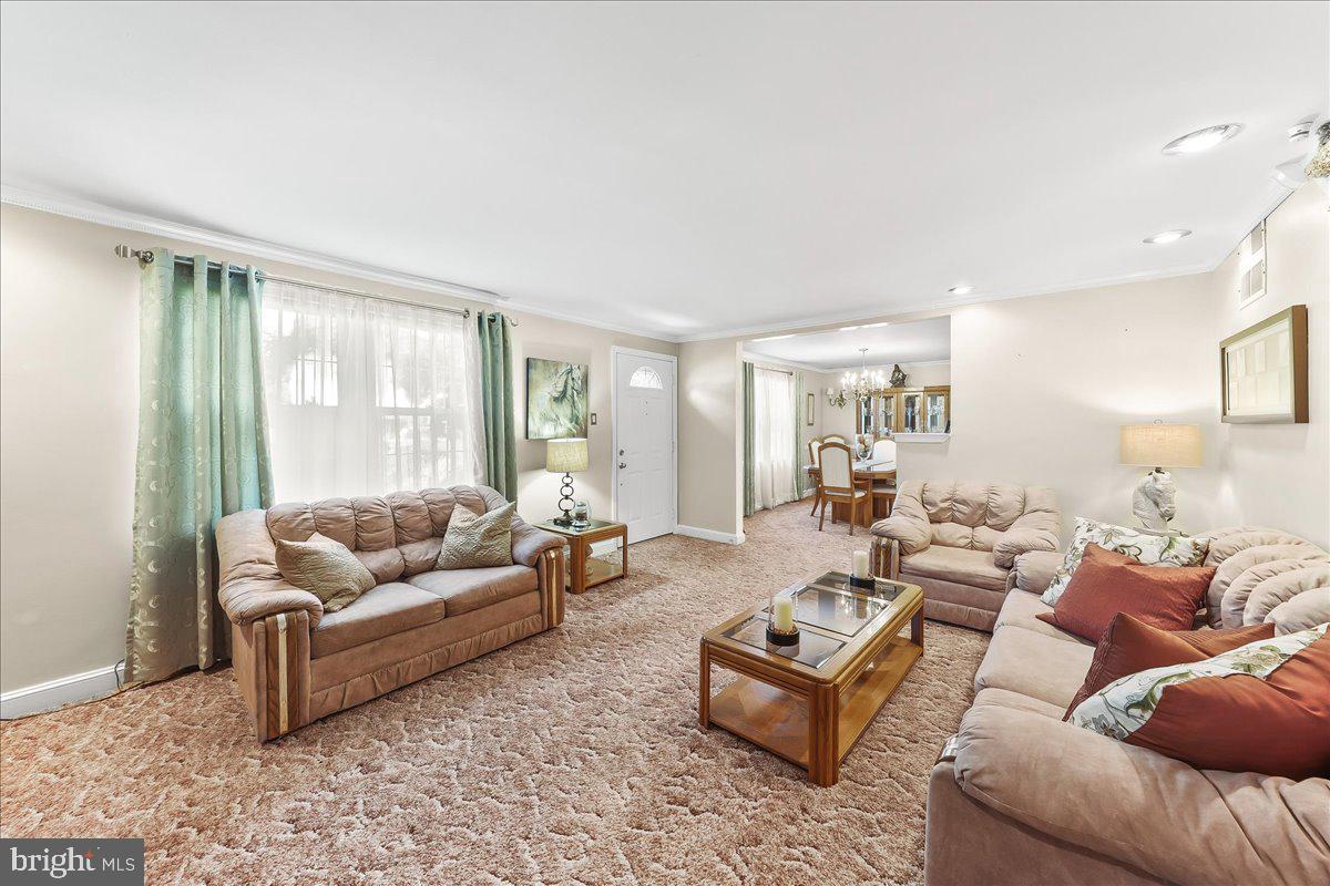 CHATHAM PARK - Residential