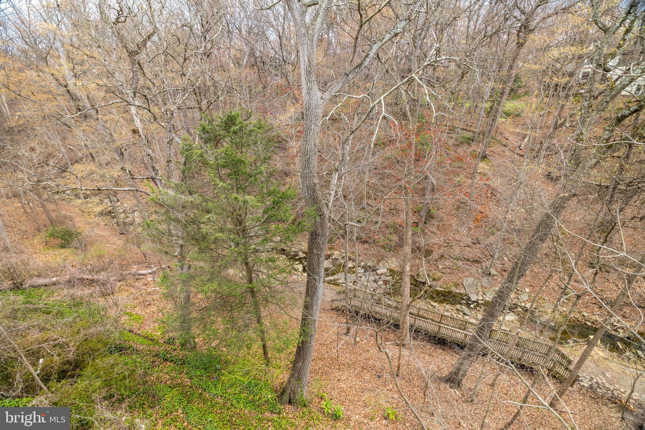 BELLEVUE FOREST - Residential