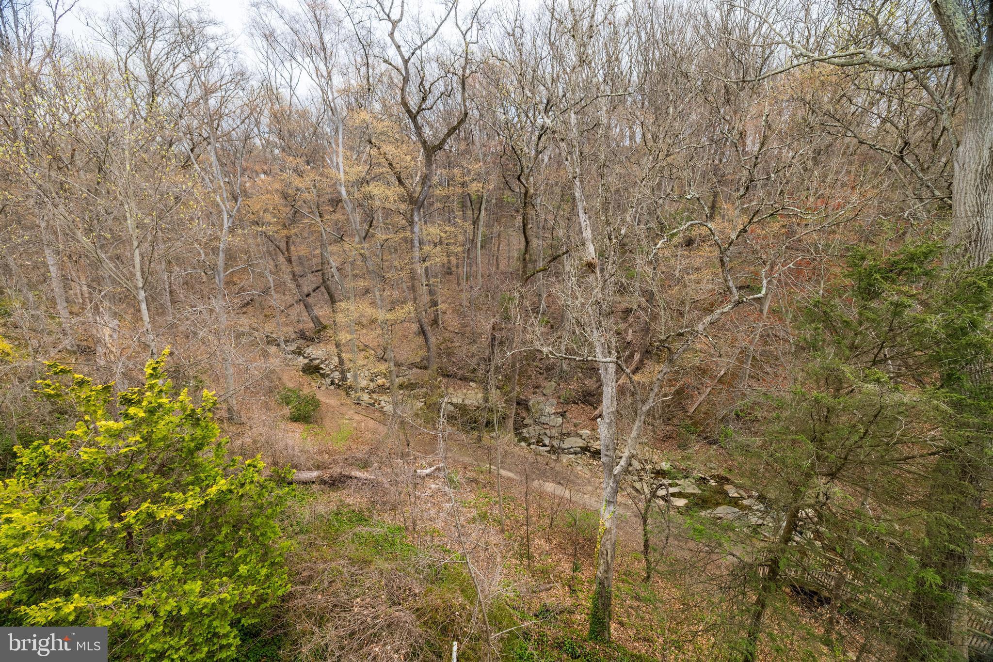 BELLEVUE FOREST - Residential