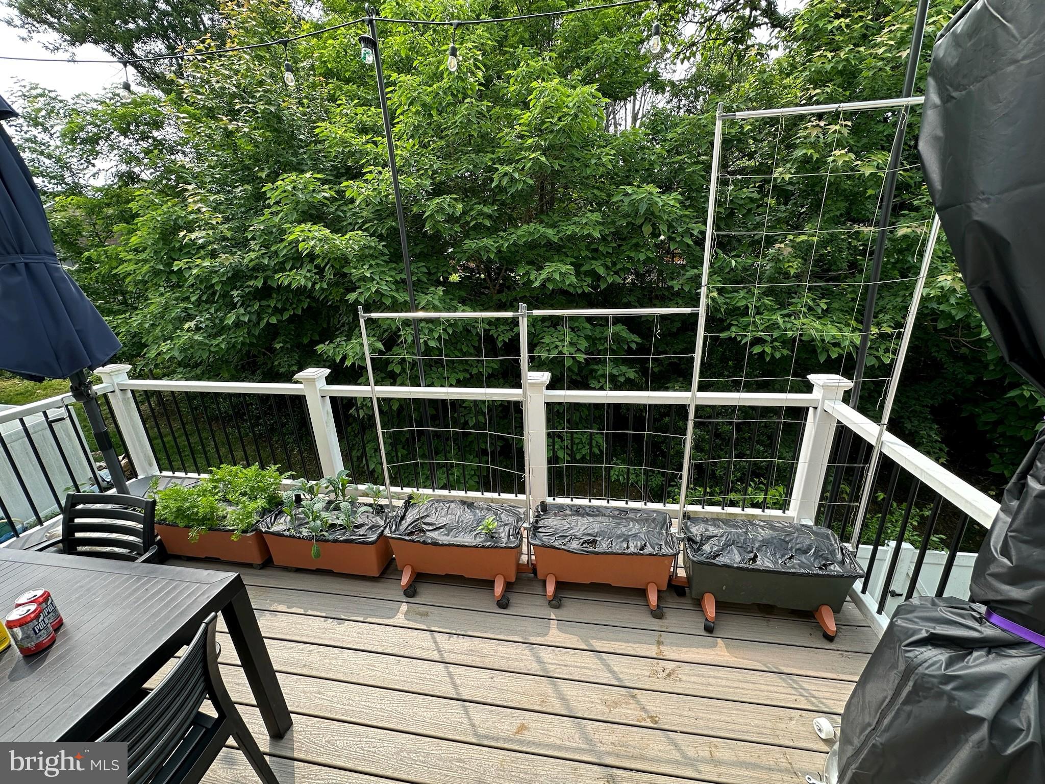 HIGH RIDGE MEADOWS - Residential