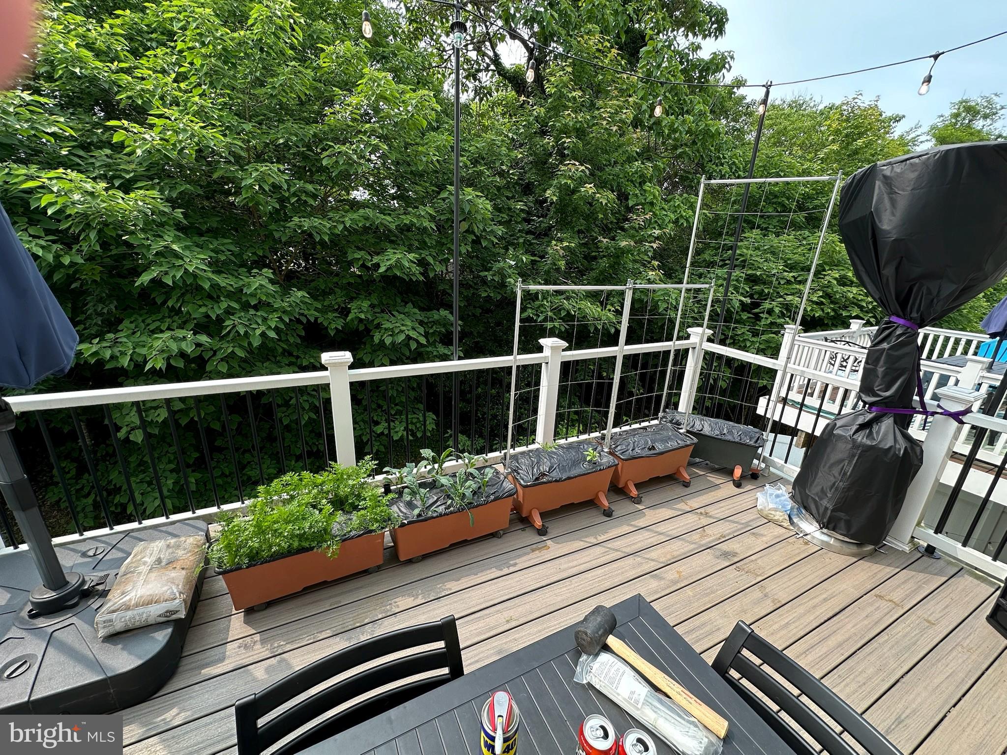 HIGH RIDGE MEADOWS - Residential