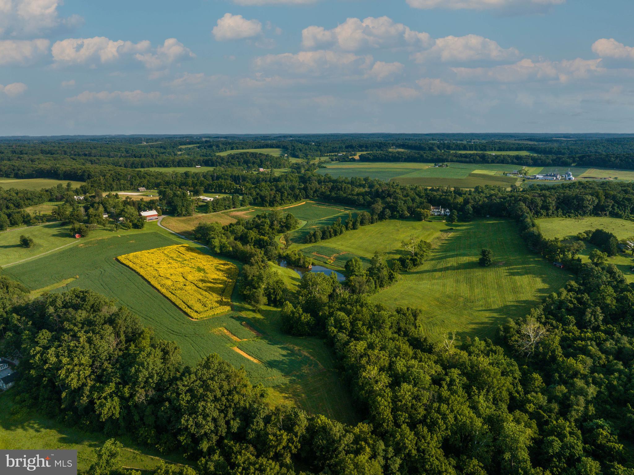 Live authentically. Pheasant Run Farm. 96.97 acres of pastoral bliss. The art of uniting human and home.