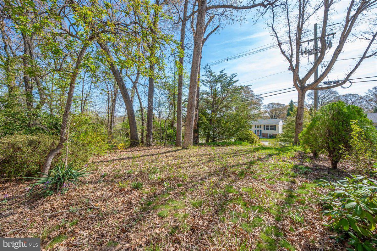 HOLLYWOOD ON SEVERN - Residential