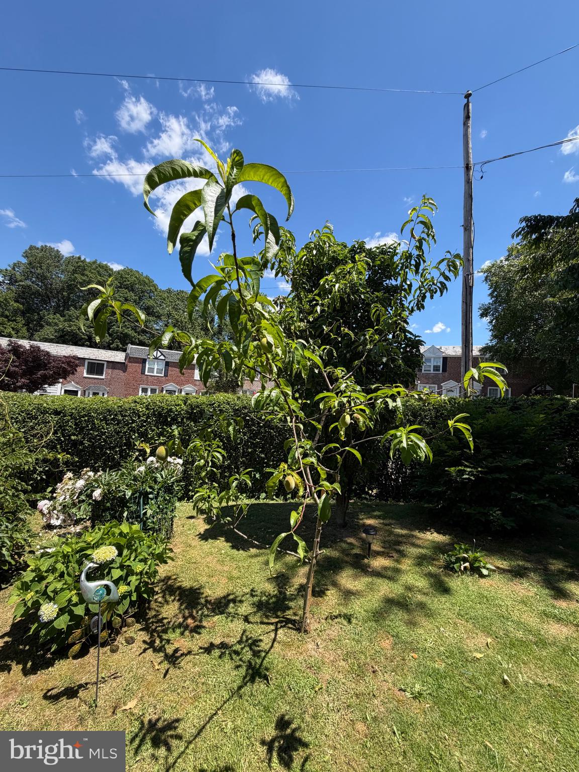 OVERBROOK PARK - Residential