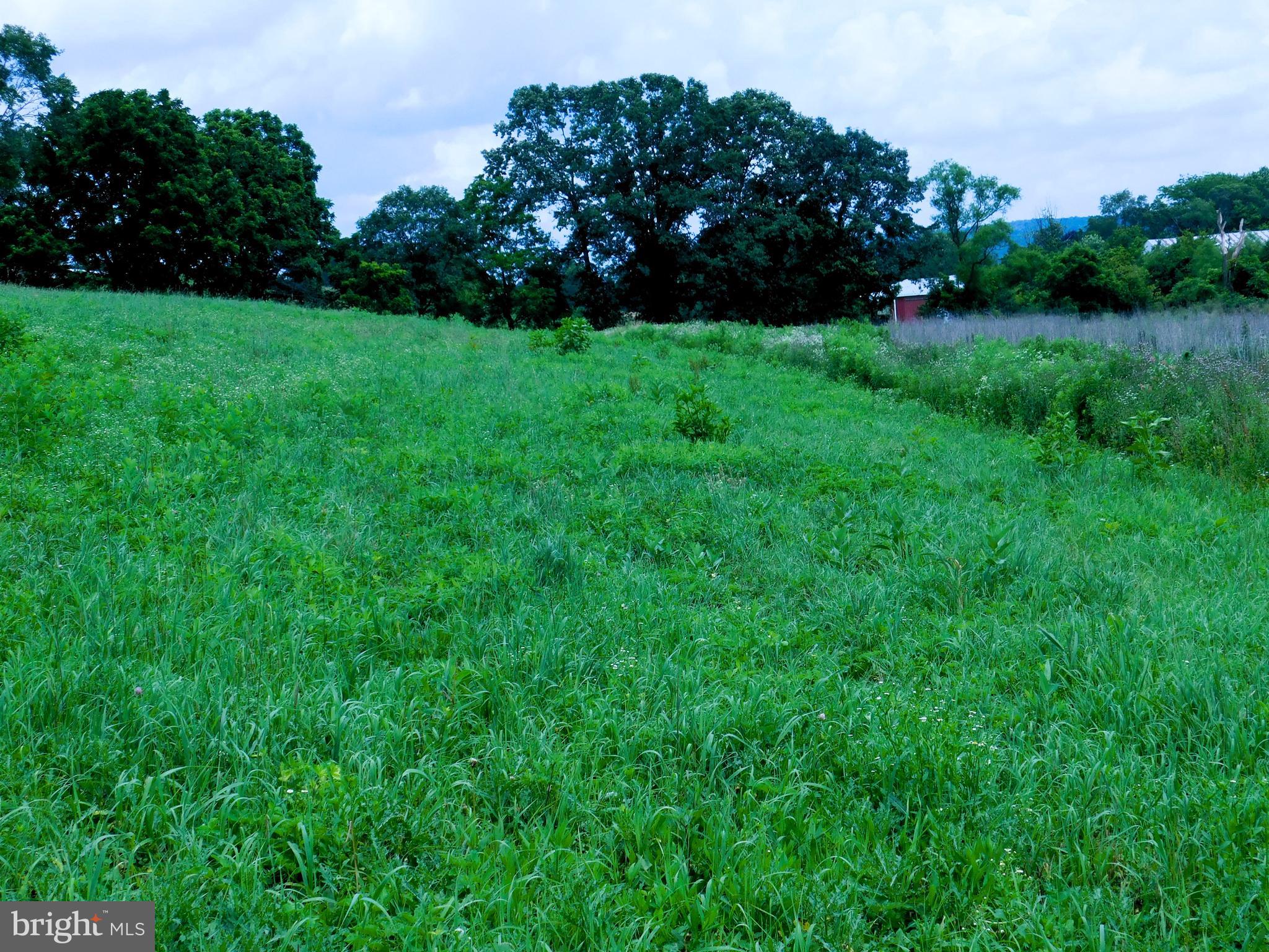 6.51 acres  accessible  from  Route 35.    Southern exposure making a great site for  your dream home with views of the valley  and mountains.   Perked for above ground system.    The highway occupancy permit is provided with the documents.  You are close to schools.   This property provides commuting possibilities for Selinsgrove and Harrisburg. There are some pens ready for your animals.   There is room for that chicken coop providing you with eggs.  The horses will enjoy pasturing on the hill.   One can view open areas  from this site.   Live on the hill and watch your garden grow in the lower area.   A property  with this location and ready to build on does not often come on the market.