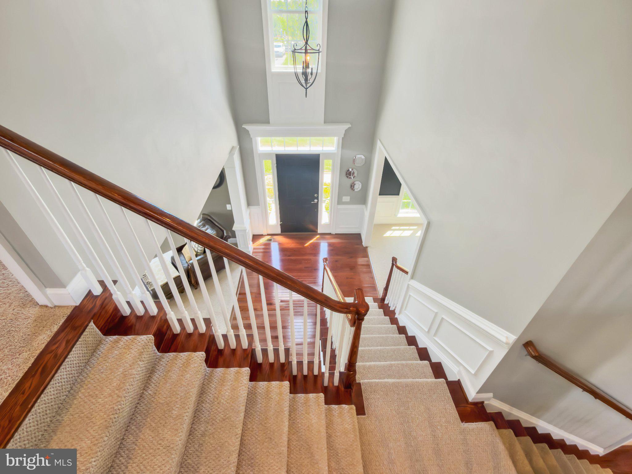 RED CEDAR - Residential