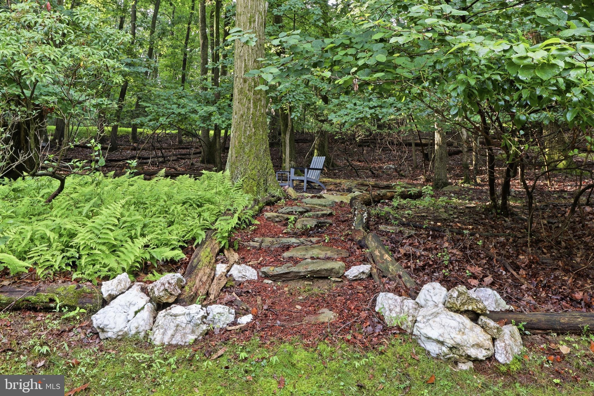 LAUREL WOODS - Residential