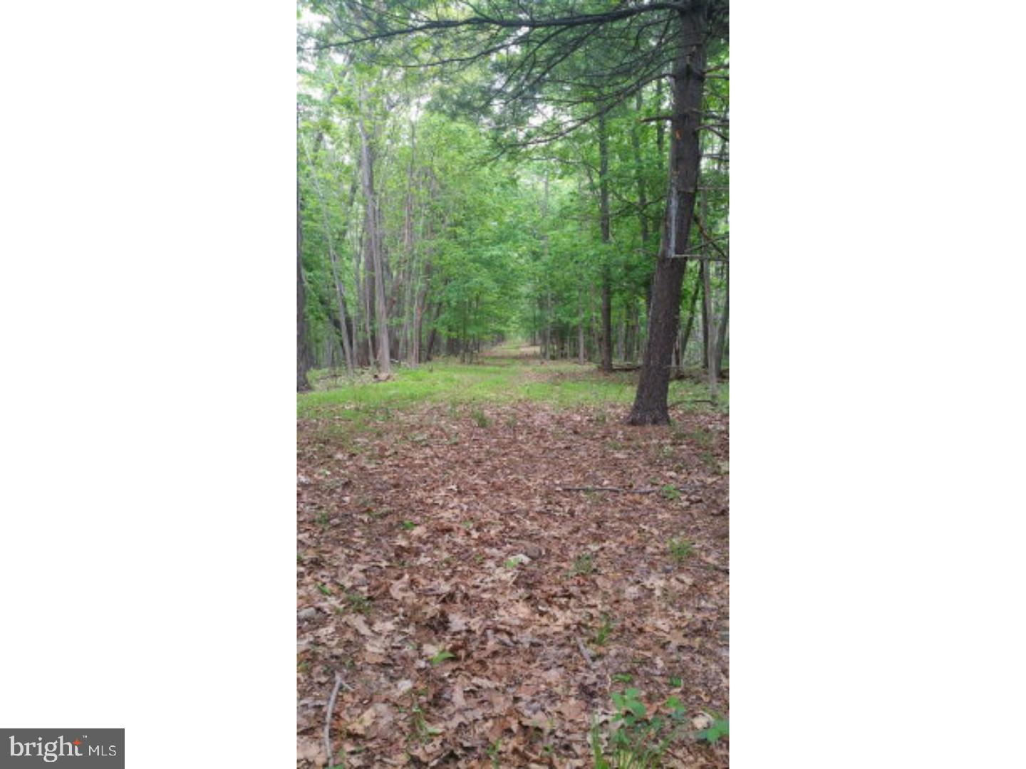 SCULPS HILL - Land