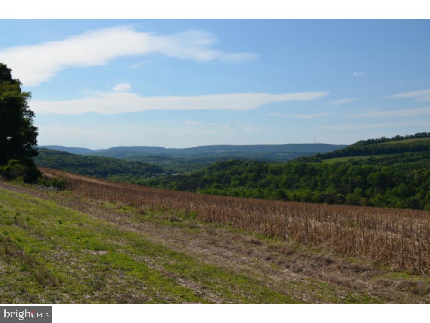 SCULPS HILL - Land