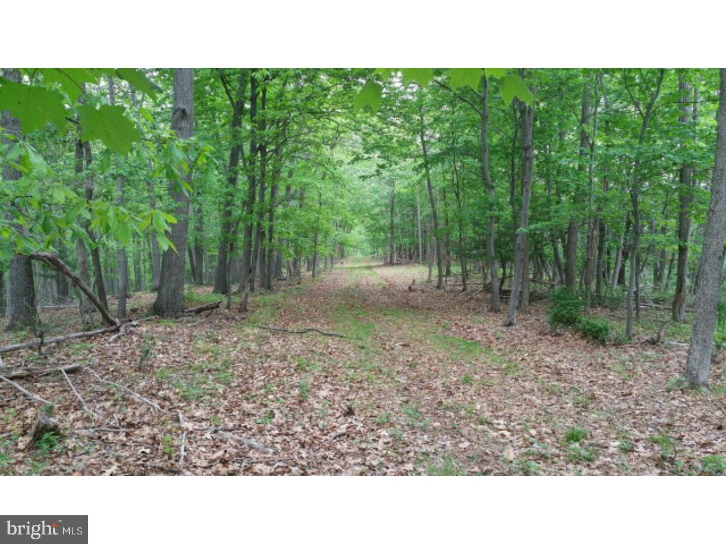 SCULPS HILL - Land
