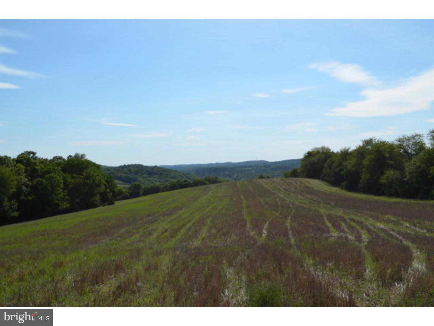 SCULPS HILL - Land