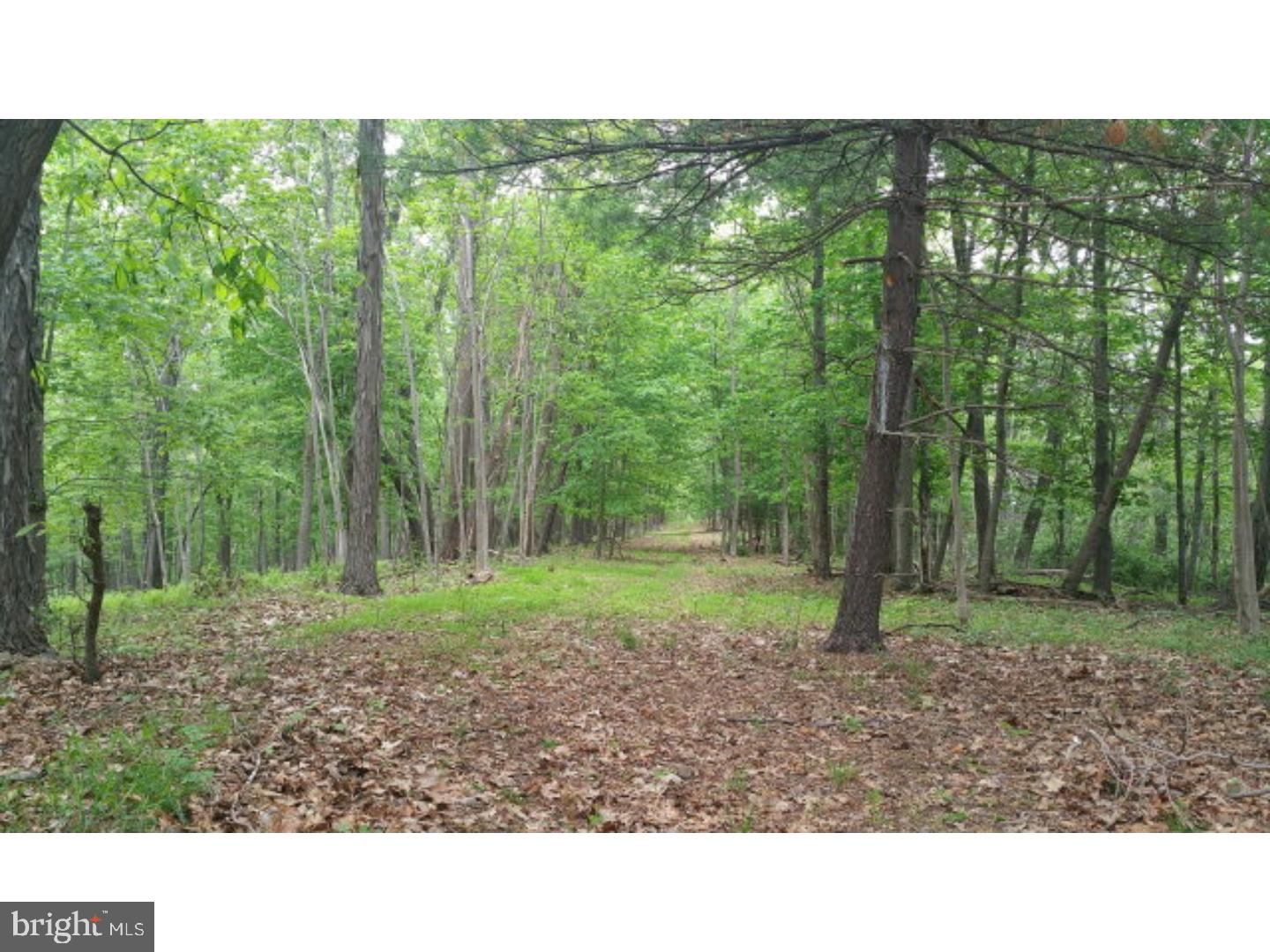 SCULPS HILL - Land