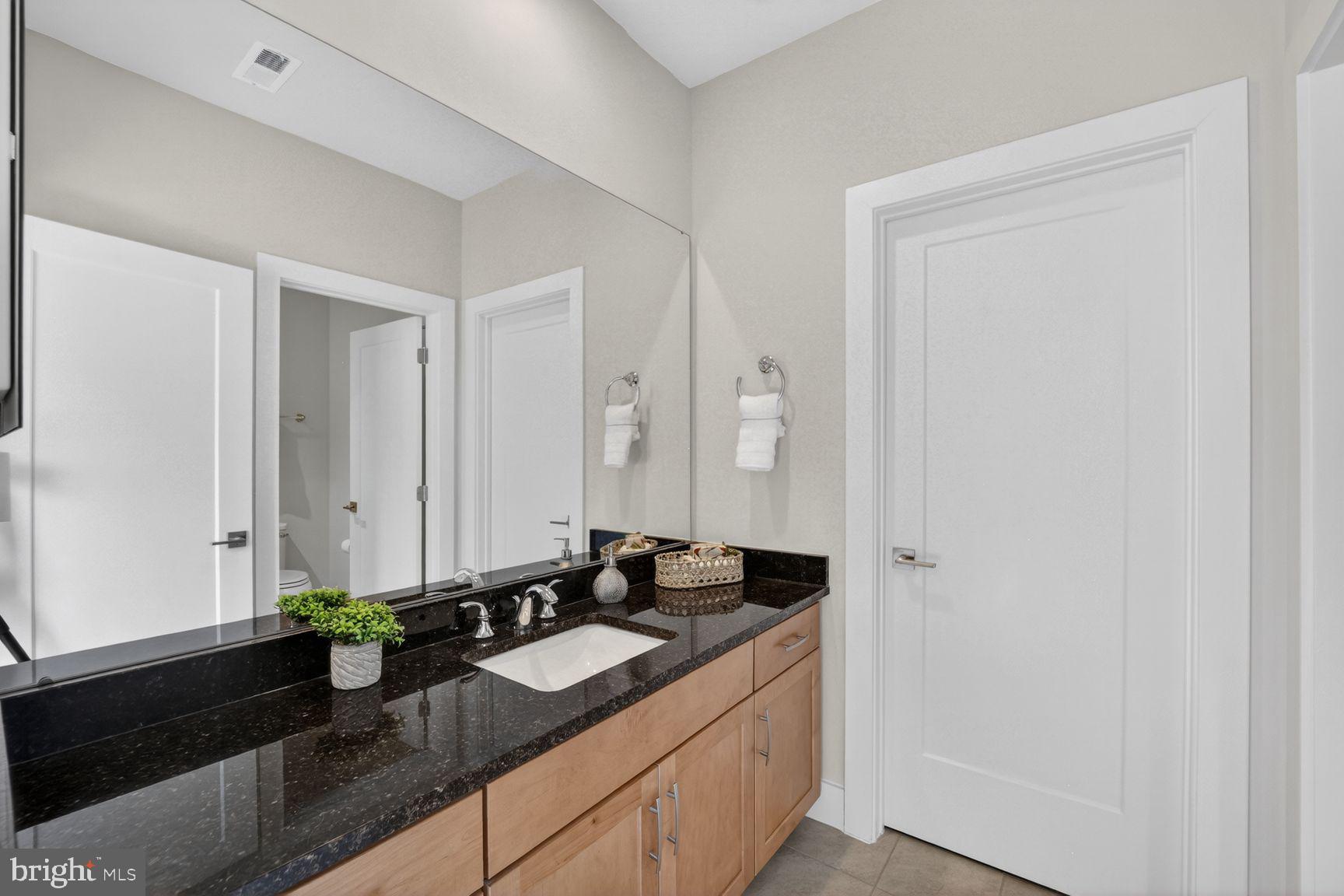 THE RIDINGS AT NORTH BRANCH - Residential