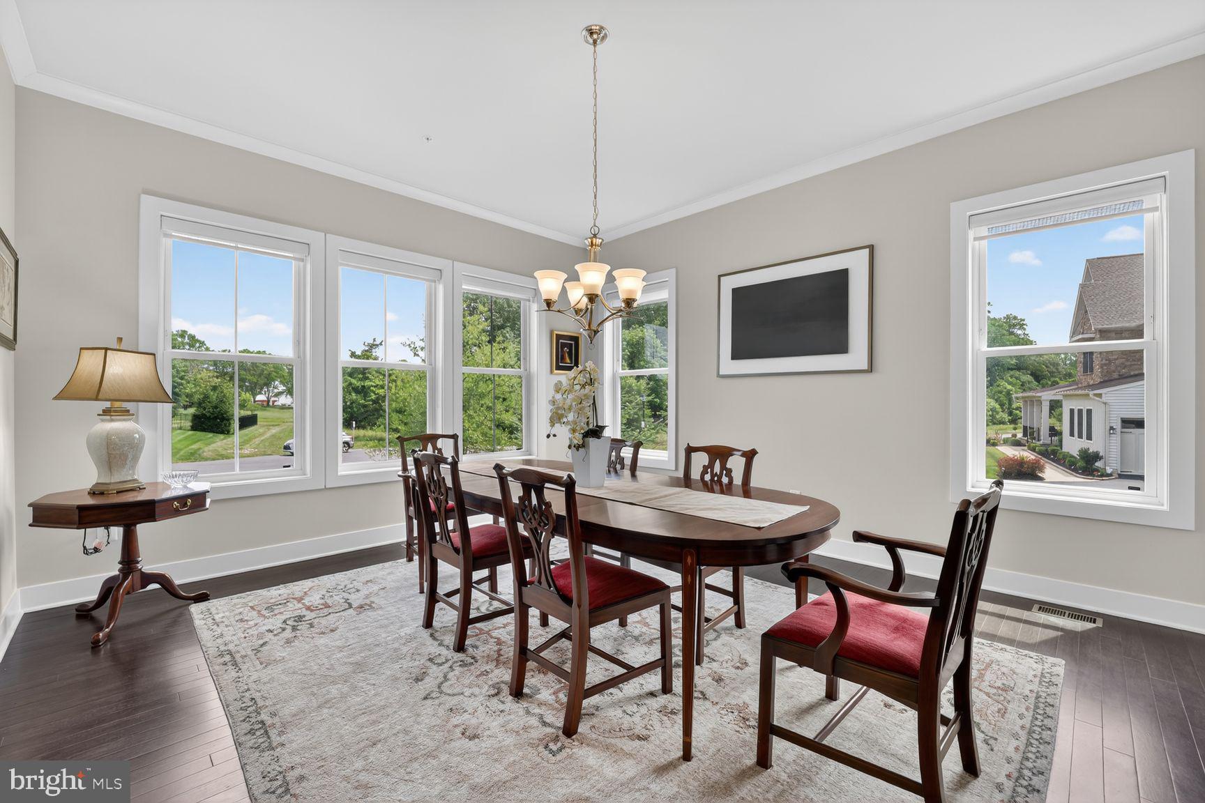 THE RIDINGS AT NORTH BRANCH - Residential
