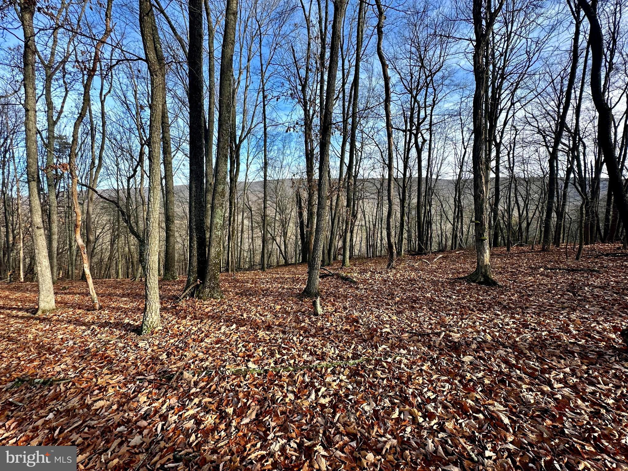 10 ACRES of level to rolling terrain located in beautiful,  Baker WV.  SECLUDED & PRIVATE with the property being located in the cul de sac and no thru street.  All season, EASY access in a well established neighborhood.  Nestle your home or cabin amongst the MATURE TIMBER you will find on the lot.  Amenities within a few minutes drive to Moorefield and Wardensille.  National Forest, Fishing , Kayaking,  & Hiking just a short drive away.  This is a NICE parcel, don't wait to check it out.  Call today for an appointment.
