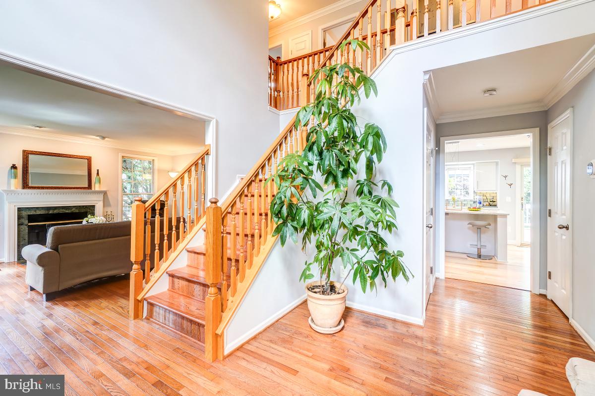 CASCADES - Residential