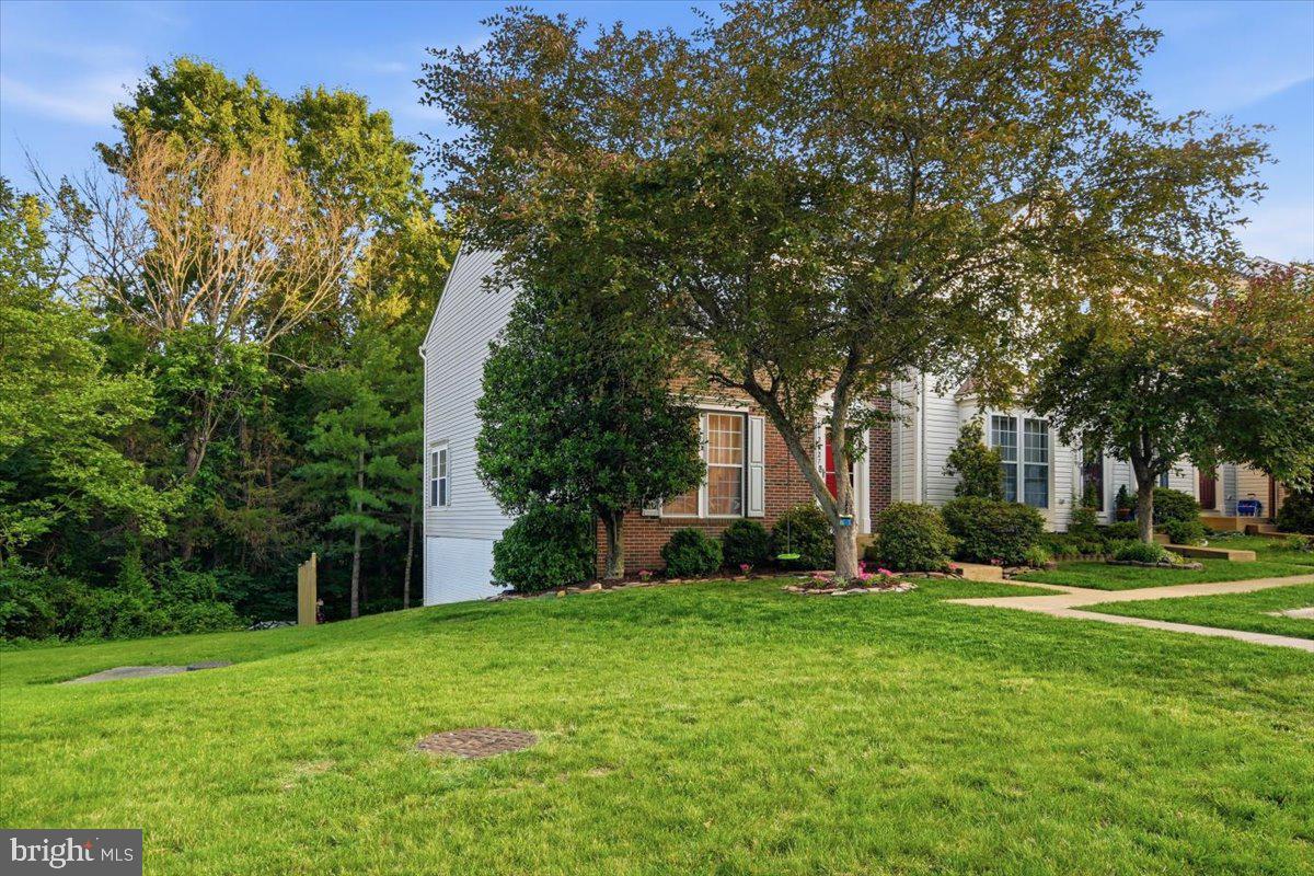 BRAEMAR - Residential