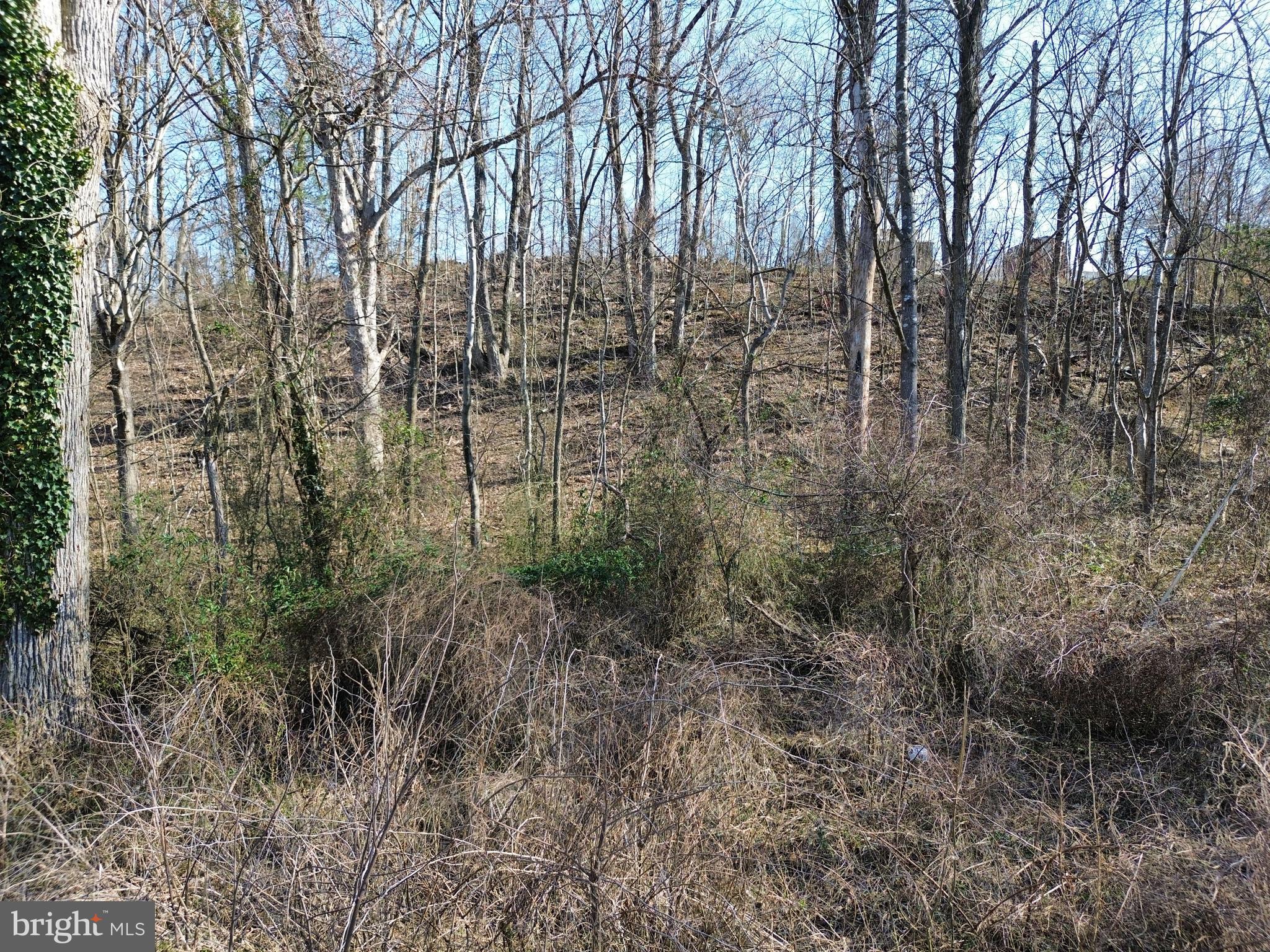 Nestled in the Land of Luray, this 0.59-acre lot presents a unique opportunity for creative design, whether for a rustic getaway or a personal recreational space. Surrounded by the beauty of the Shenandoah Valley, this property is a chance to own a slice of nature at an affordable price. Buyer to verify access and building feasibility.