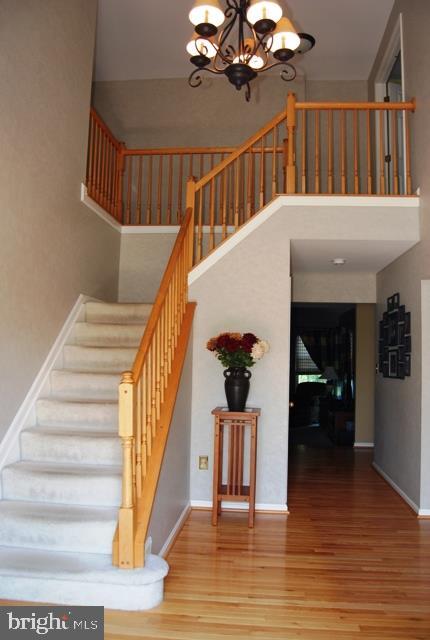 NEW FREEDOM - Residential