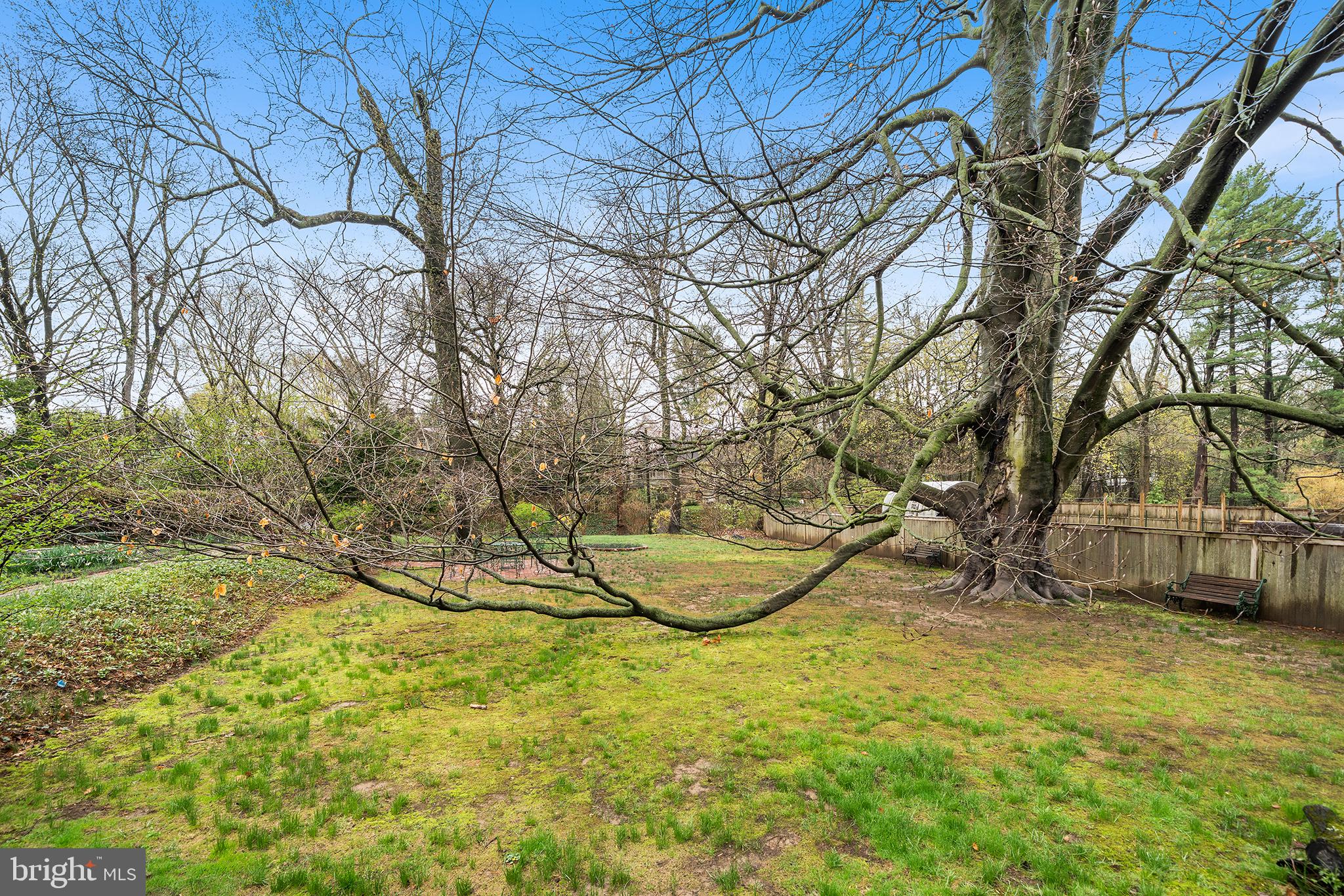 MT AIRY (WEST) - Residential