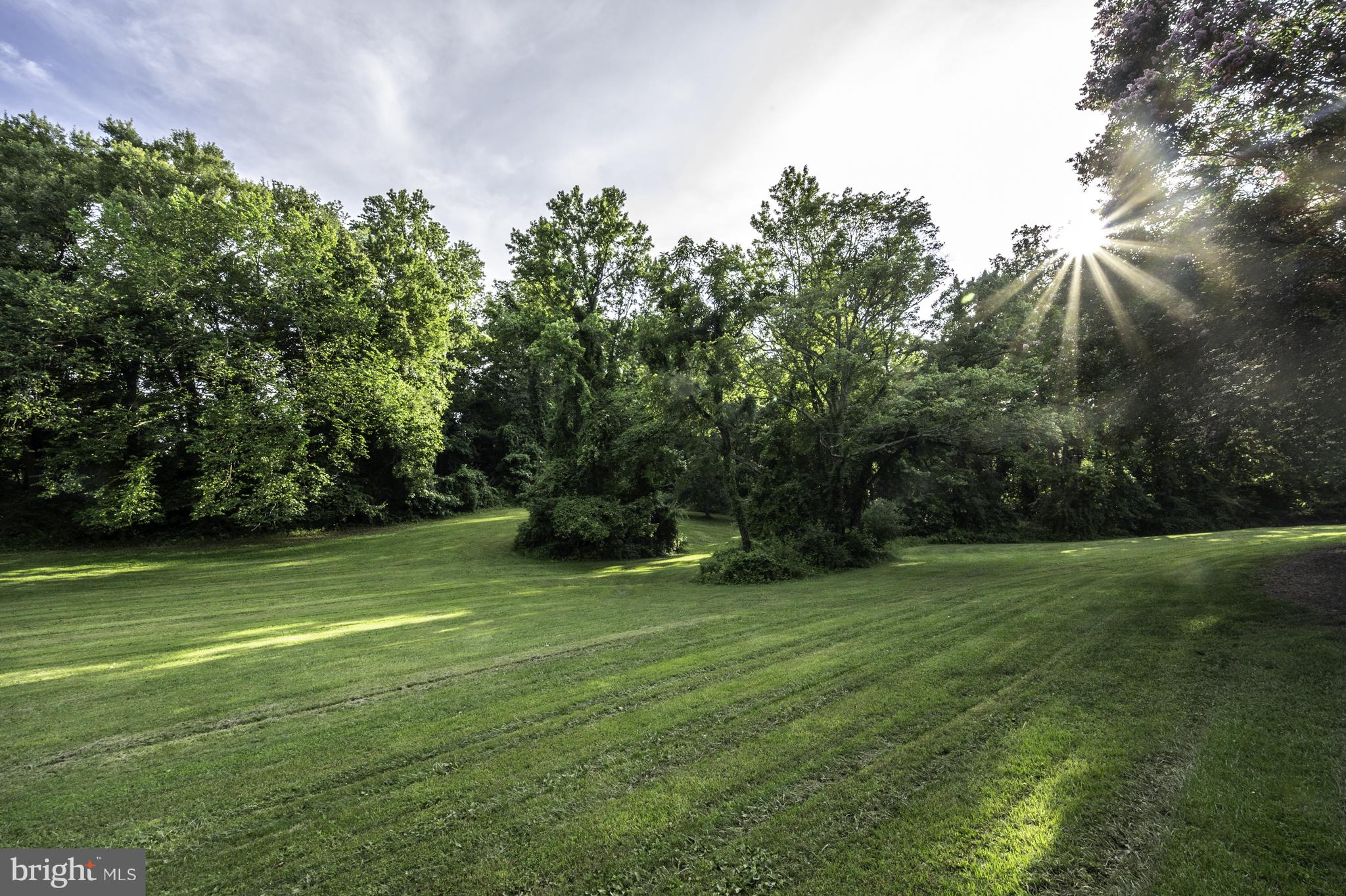 SPRINGDALE ESTATES - Residential