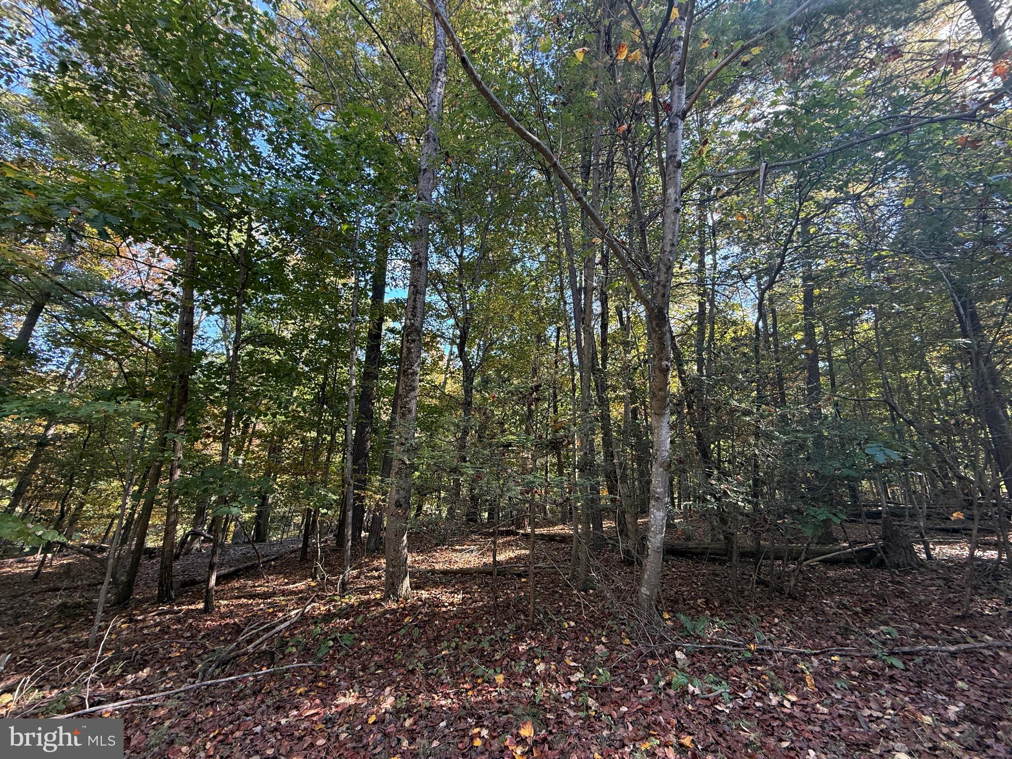 Waterfront Recreational Lot in Lake Holiday – Lot 164, Section 6A
Enjoy all the amenities of the gated Lake Holiday community with this waterfront recreational lot. While not a buildable lot—no water or sewer connections are available—it provides full access to Lake Holiday's extensive recreational features: A 240-acre deep-water lake, Sandy beaches, swimming, boating, fishing, and water skiing, A clubhouse with an exercise room, Walking trails, playgrounds, and picnic areas, Tennis, basketball, and volleyball courts. This lot offers a scenic waterfront setting, ideal for day use, family gatherings, or enjoying the peaceful natural surroundings.  HOA fee: $52/month.  No capitalization fee for membership lots at this time.  Address: 102 Southwood Court per 2003 Frederick County map  Lot 164, Section 6A Not eligible for building.  A great opportunity to own a piece of Lake Holiday and enjoy everything the community has to offer—without the higher costs of a buildable lot.