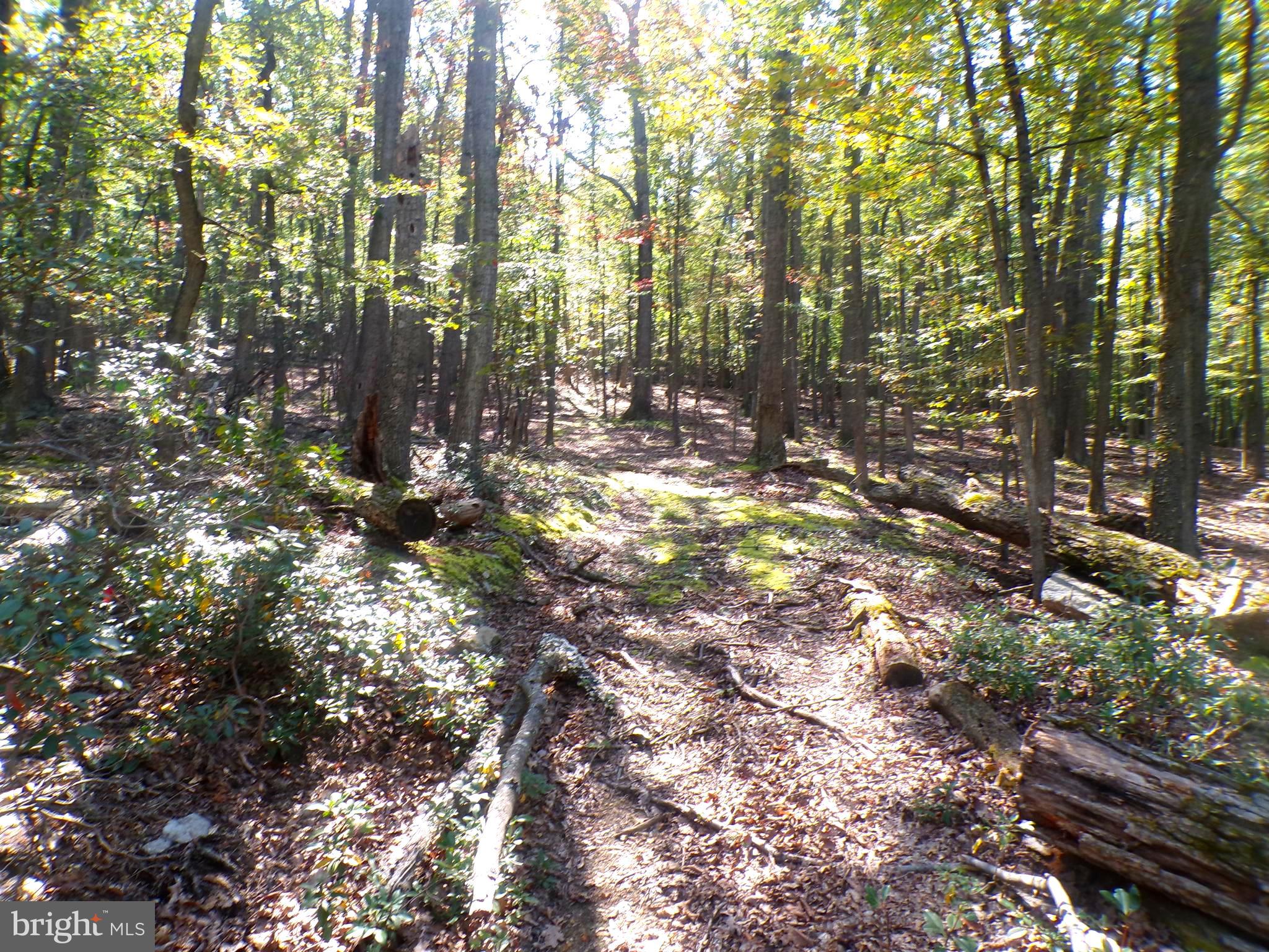 If you're looking for a spot in the woods that is just far enough away, then you have found it. This is the place to build your weekend getaway or the place to come home to every evening. Surround yourself with the peace and quiet of wild and wonderful. Let the large mature oak trees shelter you from the hustle and bustle.
