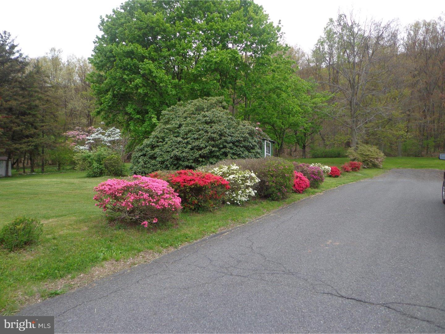 FOUNTAIN SPRINGS - Residential