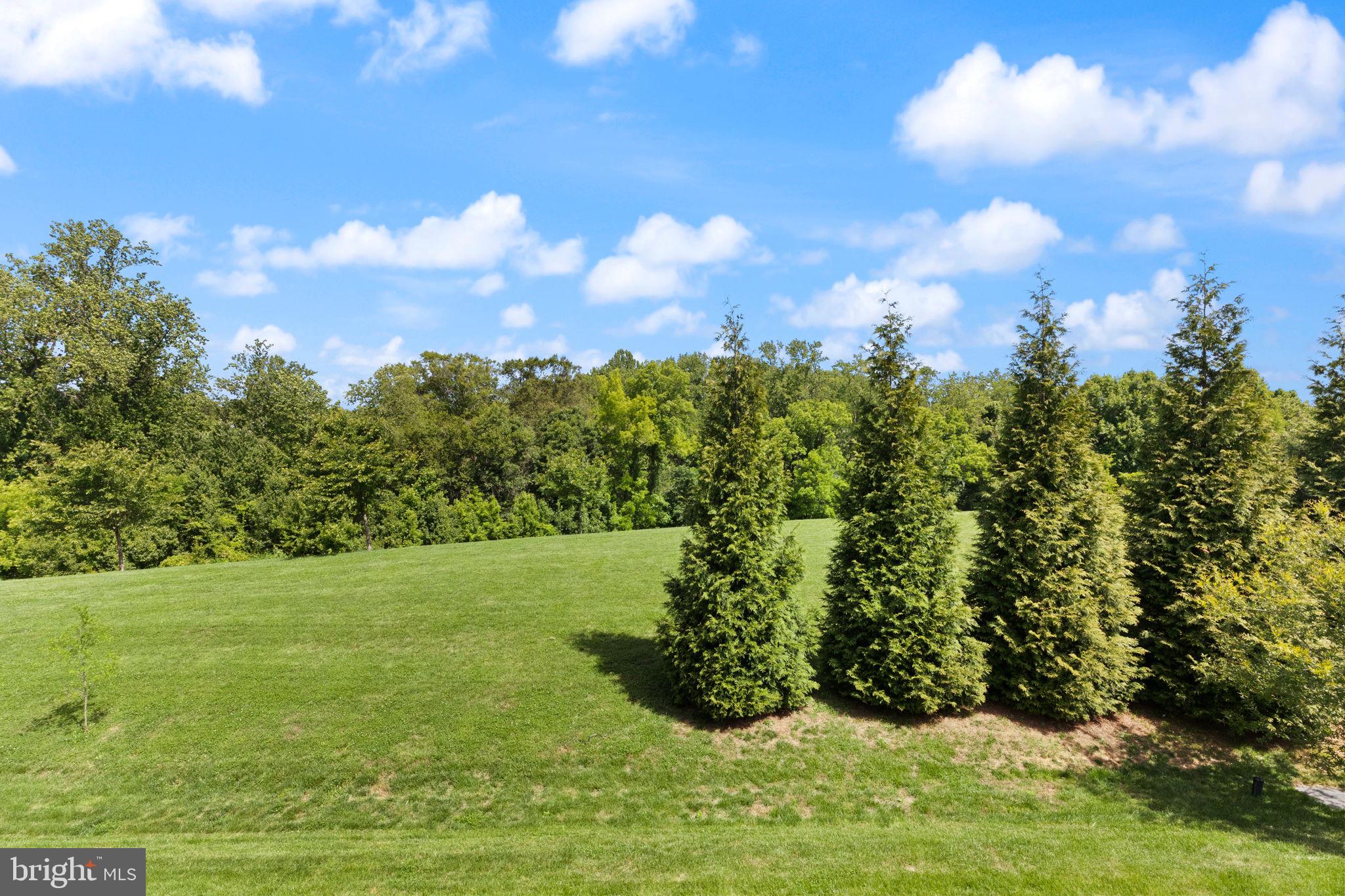LAUREL RIDGE - Residential