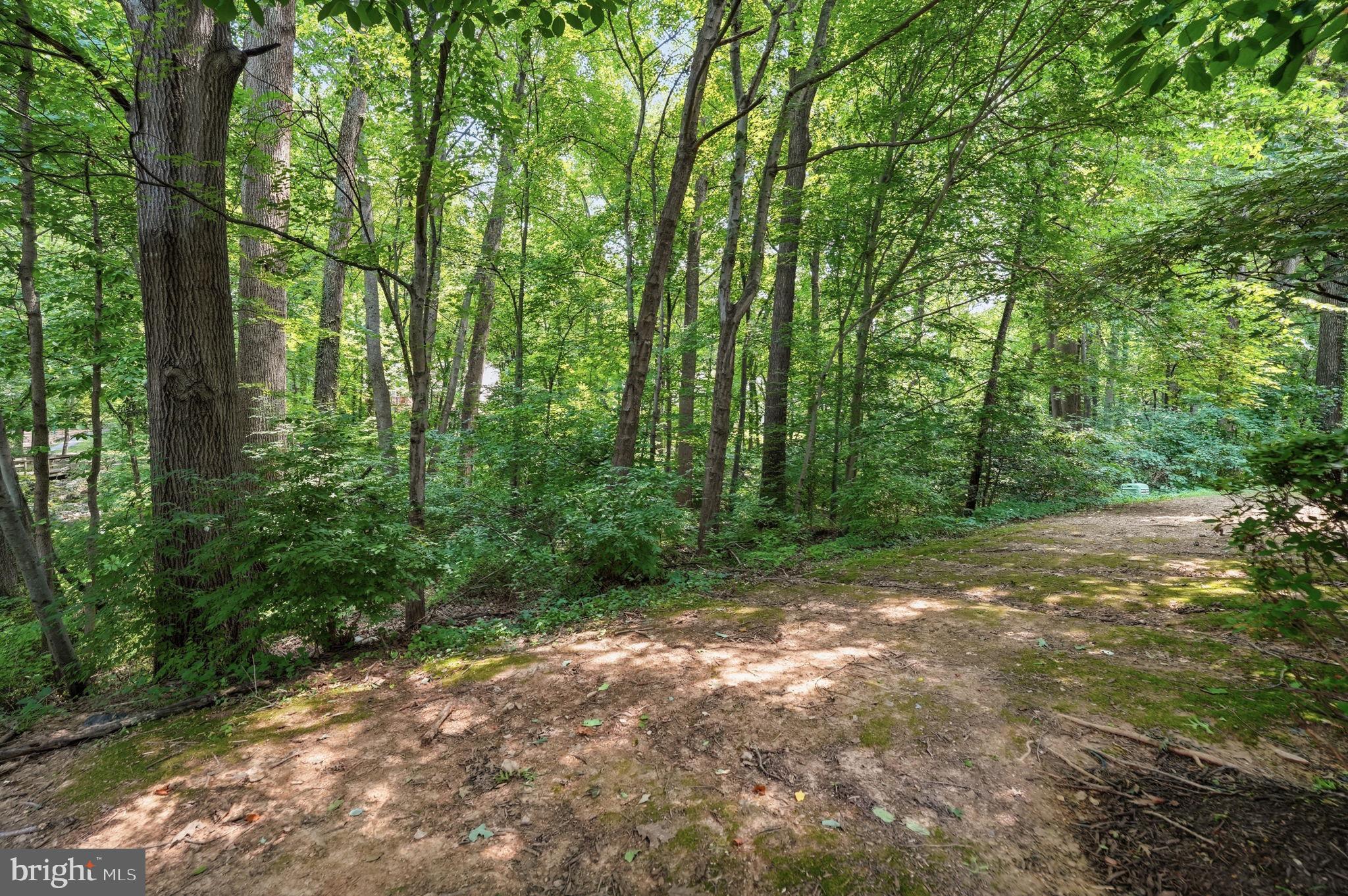 WALDEN AT BURKE CENTRE - Residential