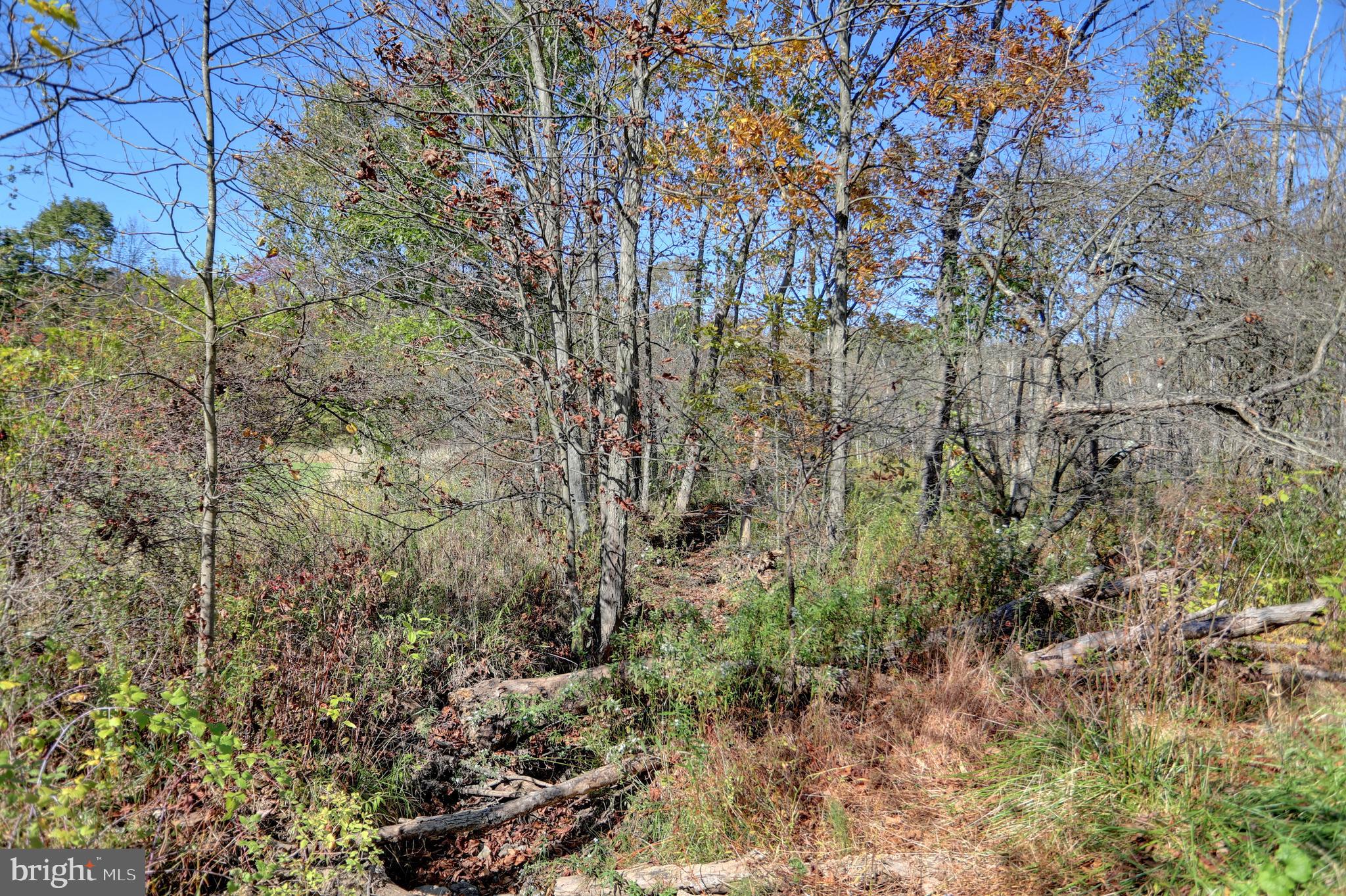 This property is going to onsite auction 12/9/23 at 11:00 AM and is being sold with reserve. LISTED PRICE IS ONLY A SUGGESTED OPENING BID, AND IS NOT INDICATIVE OF THE  FINAL SALES PRICE WHICH WILL BE BY SELLER CONFIRMATION DAY OF AUCTION.  Terms: Down payment of $15,000.00 required day of auction. Settlement on or before February 7, 2024. Transfer taxes to be paid by buyer. Real Estate taxes shall be prorated.
50.69 acres of level wooded land with small stream. East access with 1800' of road frontage on N Imler Rd. Has not been logged recently. Property is located in Kimmel and King Twp. Less than 5 minutes from -99. Assessment and tax amounts are estimated.  All information is deemed to be accurate, but not guaranteed.