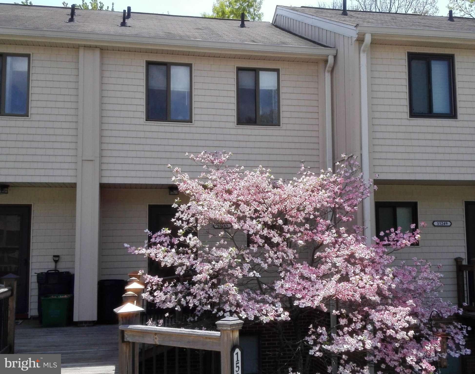 RIPPON LANDING - Residential Lease