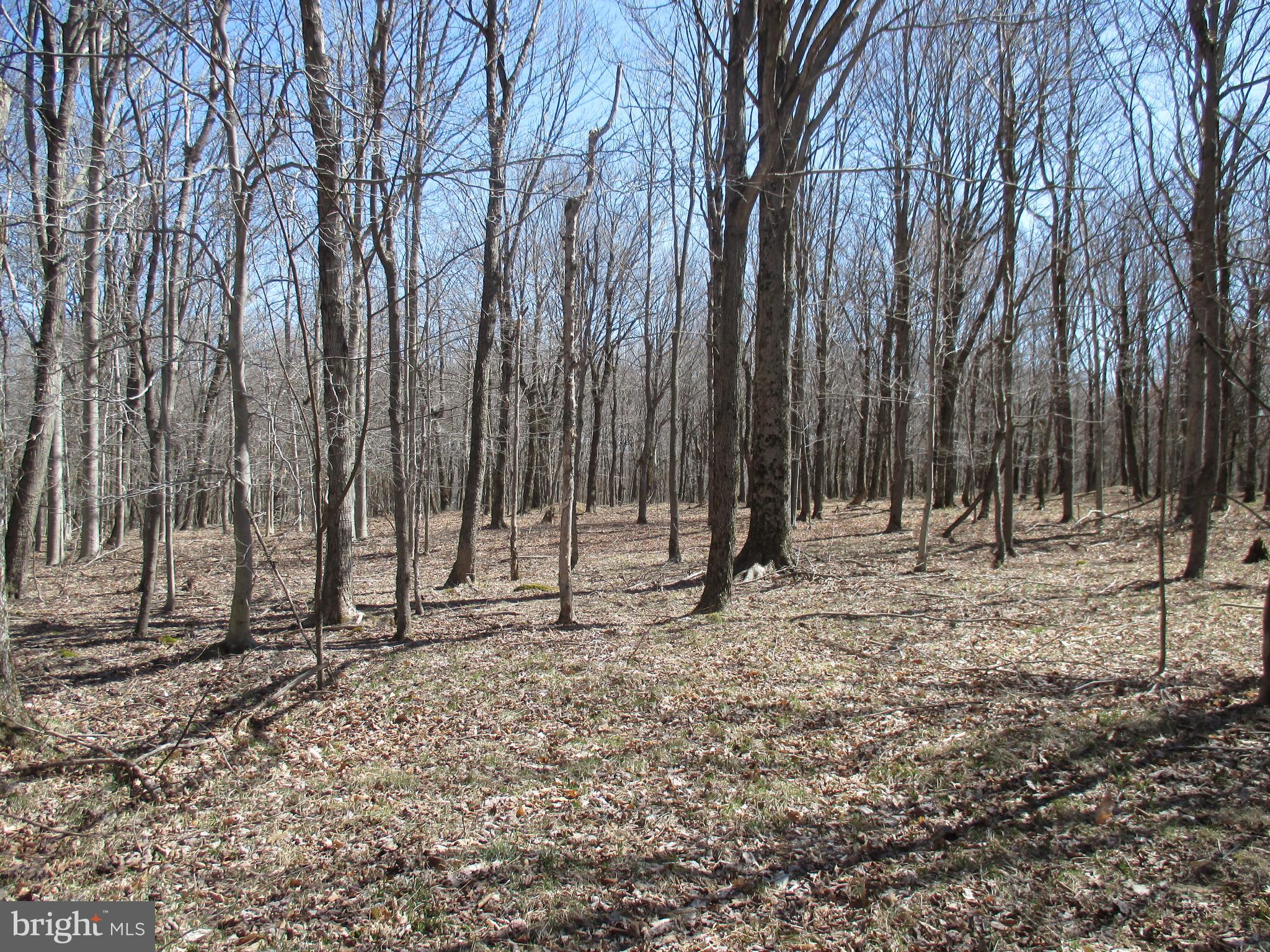 VERY NICE AND WOODED BUILDING LOT WITH LAKE ACCESS AND SHARED DOCK. GOOD INTERIOR ROADS AND SENSIBLE PROTECTIVE COVENANTS. ENJOY YEAR ROUND LIVING OR BUILD THAT SUMMER HOME WITH LAKE AND RECREATIONAL  AMENITIES. SWIM, FISH, BOAT, SKI, AND SCUBA IN THIS WONDERFUL WEST VIRGINIA LAKE. 21/2 HOURS TO THE BALTIMORE-WASHINGTON METRO AREAS AND 2 HOURS FROM PITTSBURGH.  2 ADJOINING LOTS AVAILABLE FOR SALE.