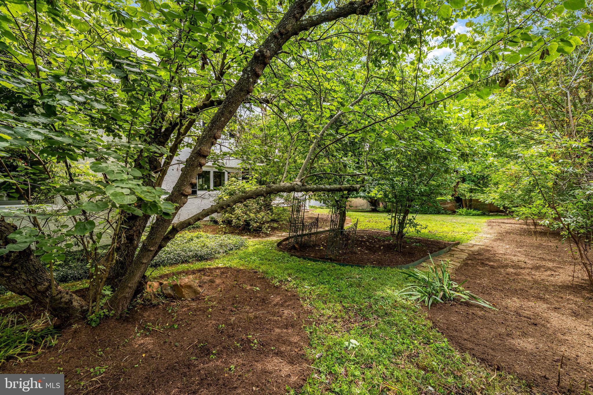MOUNT WASHINGTON - Residential