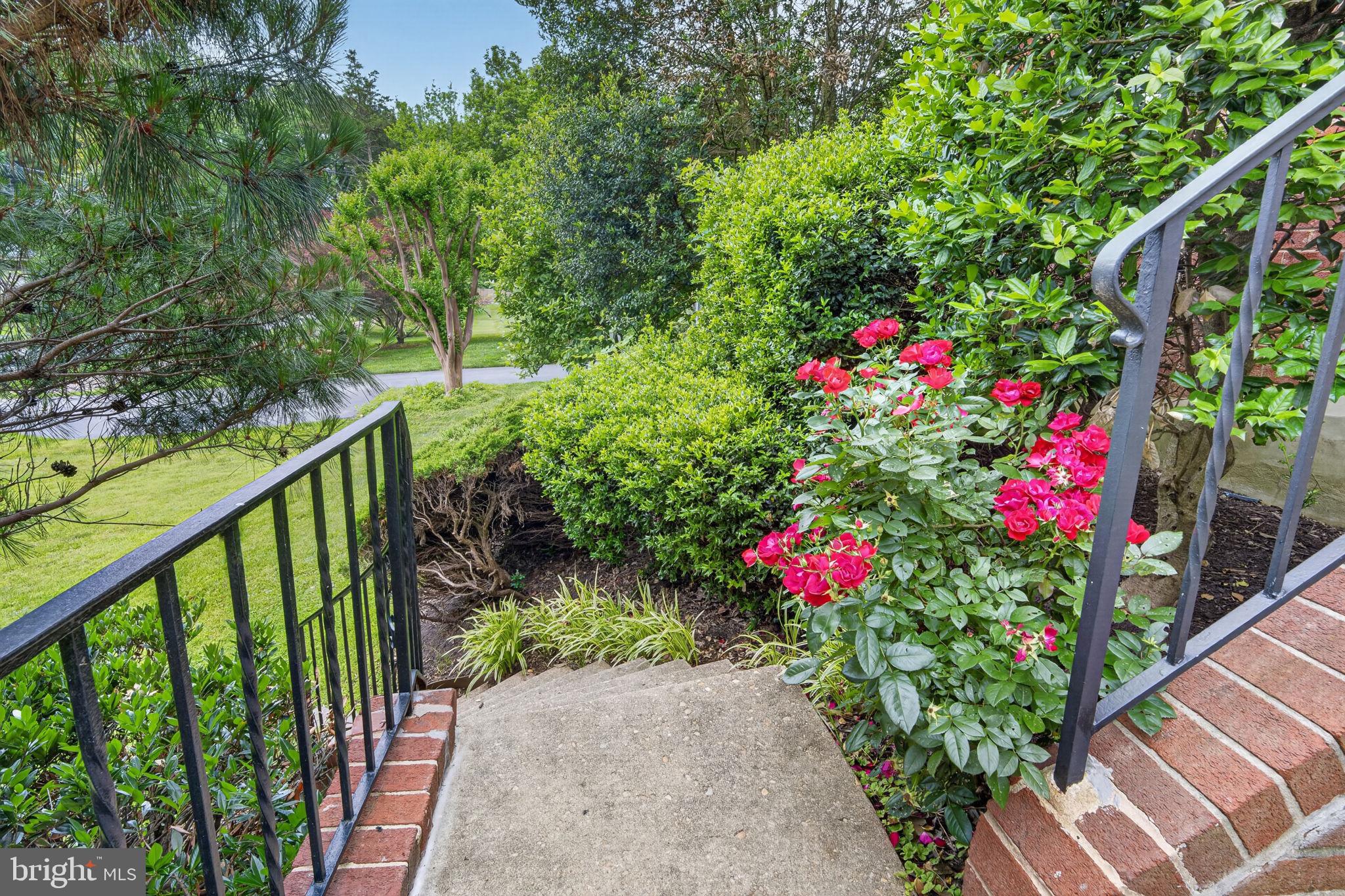 NORTH SPRINGBROOK - Residential